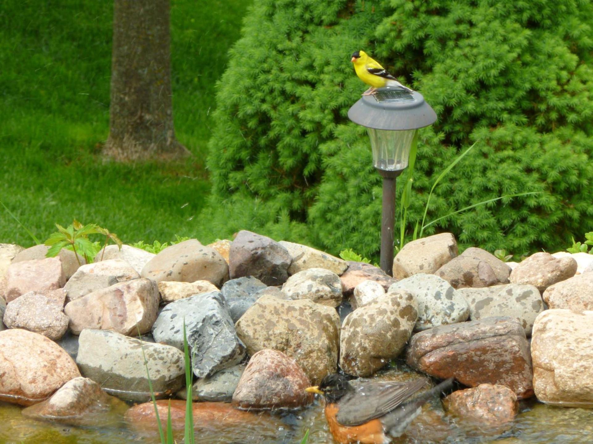 Trickling Waters Retreat photo 33