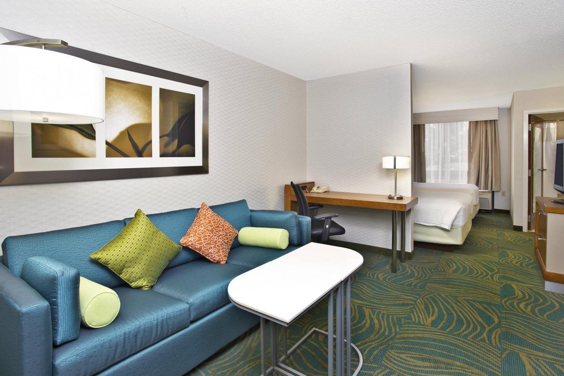 Springhill Suites by Marriott Chicago Elmhurst Oakbrook Area photo 3