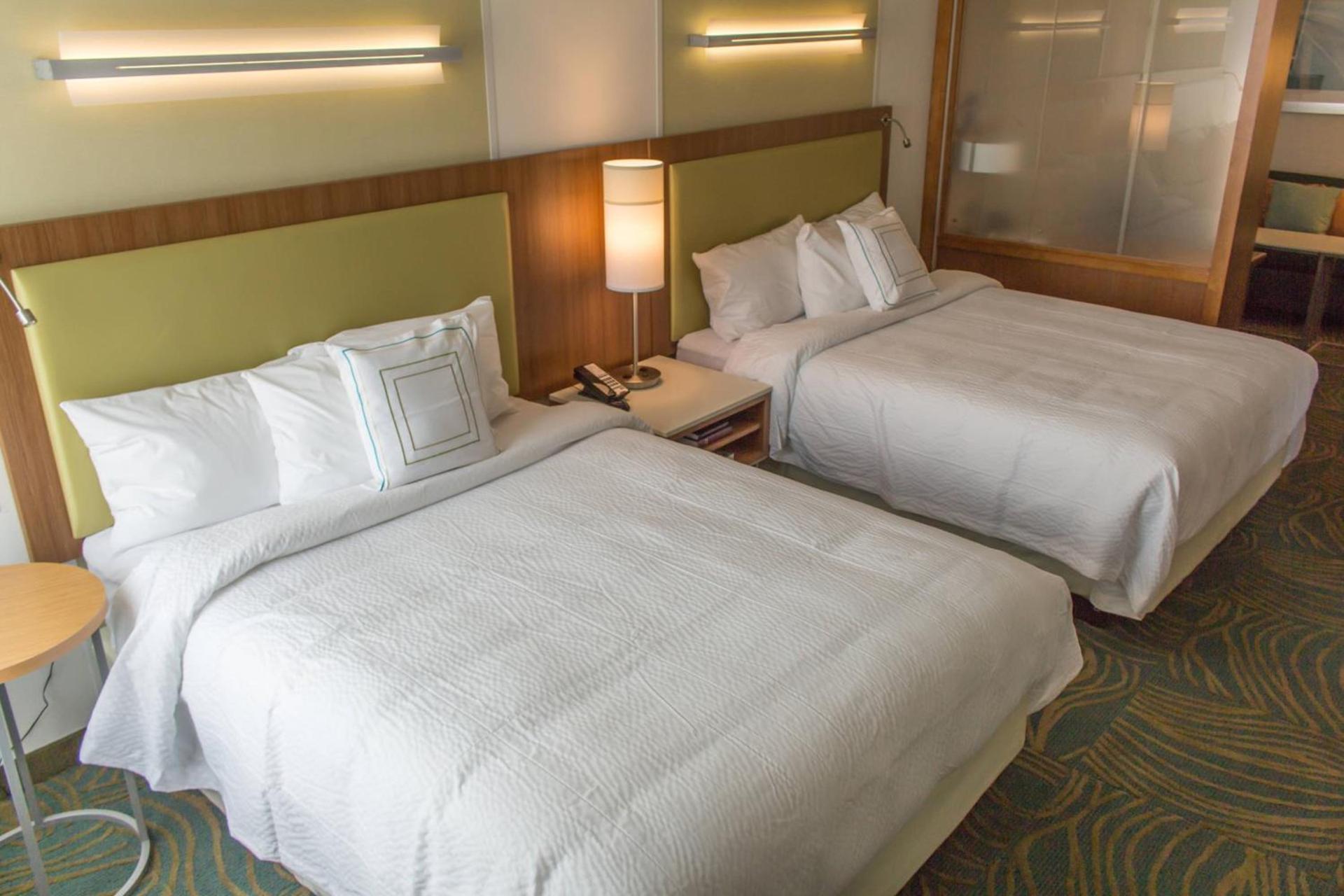 SpringHill Suites by Marriott Sumter photo 3
