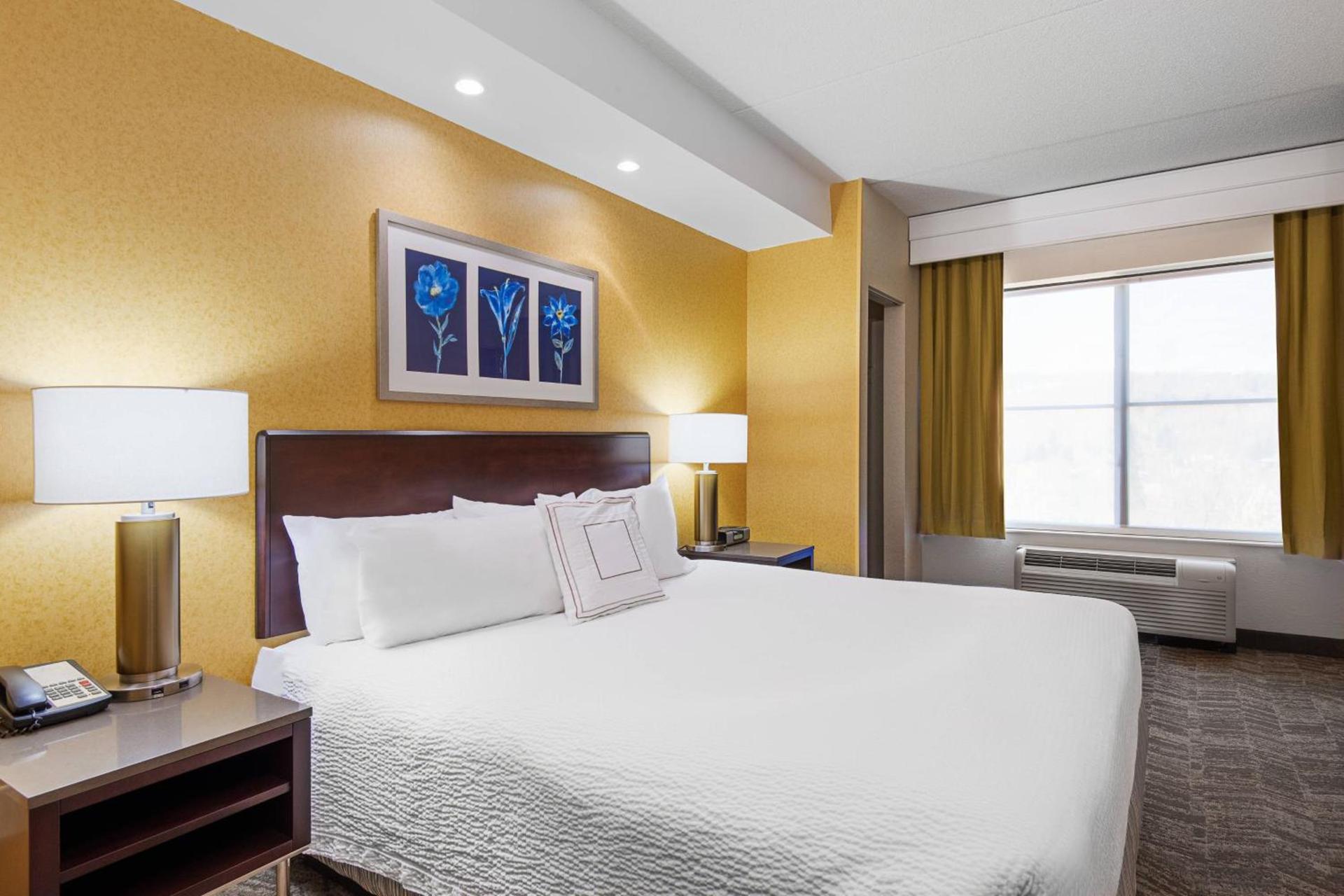SpringHill Suites by Marriott Wheeling Triadelphia Area photo 6