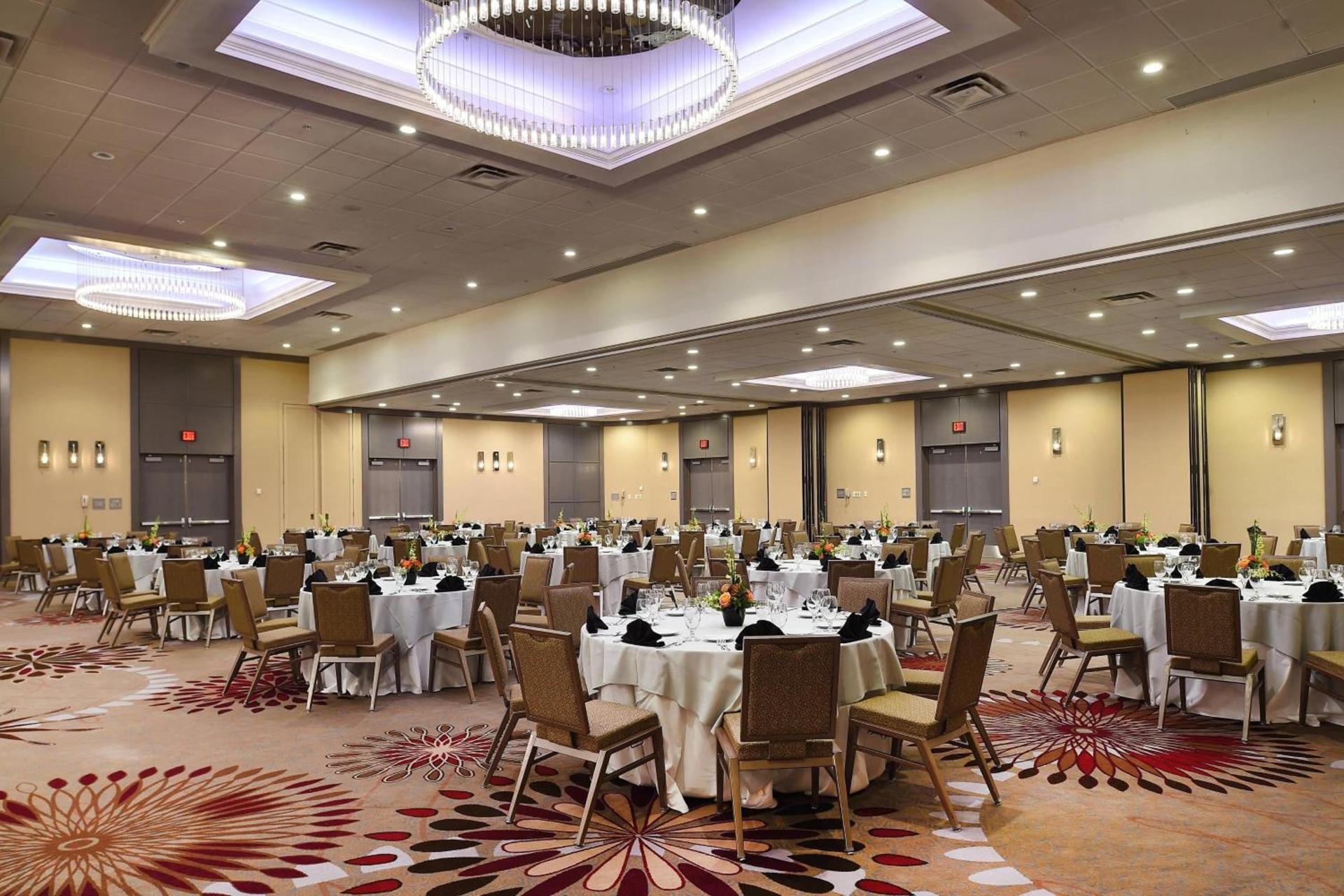 Marriott St. Louis Airport photo 50