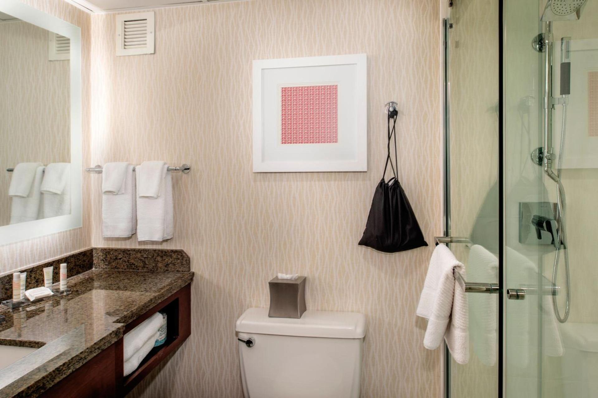 Marriott St. Louis Airport photo 27