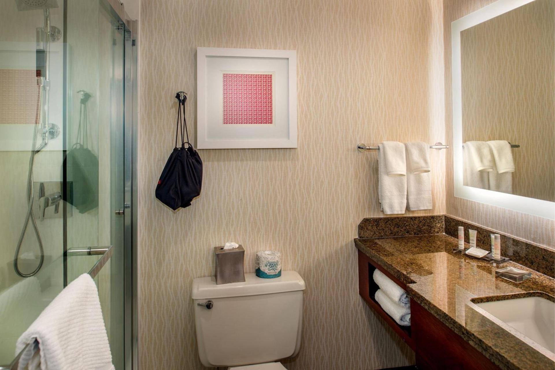 Marriott St. Louis Airport photo 28