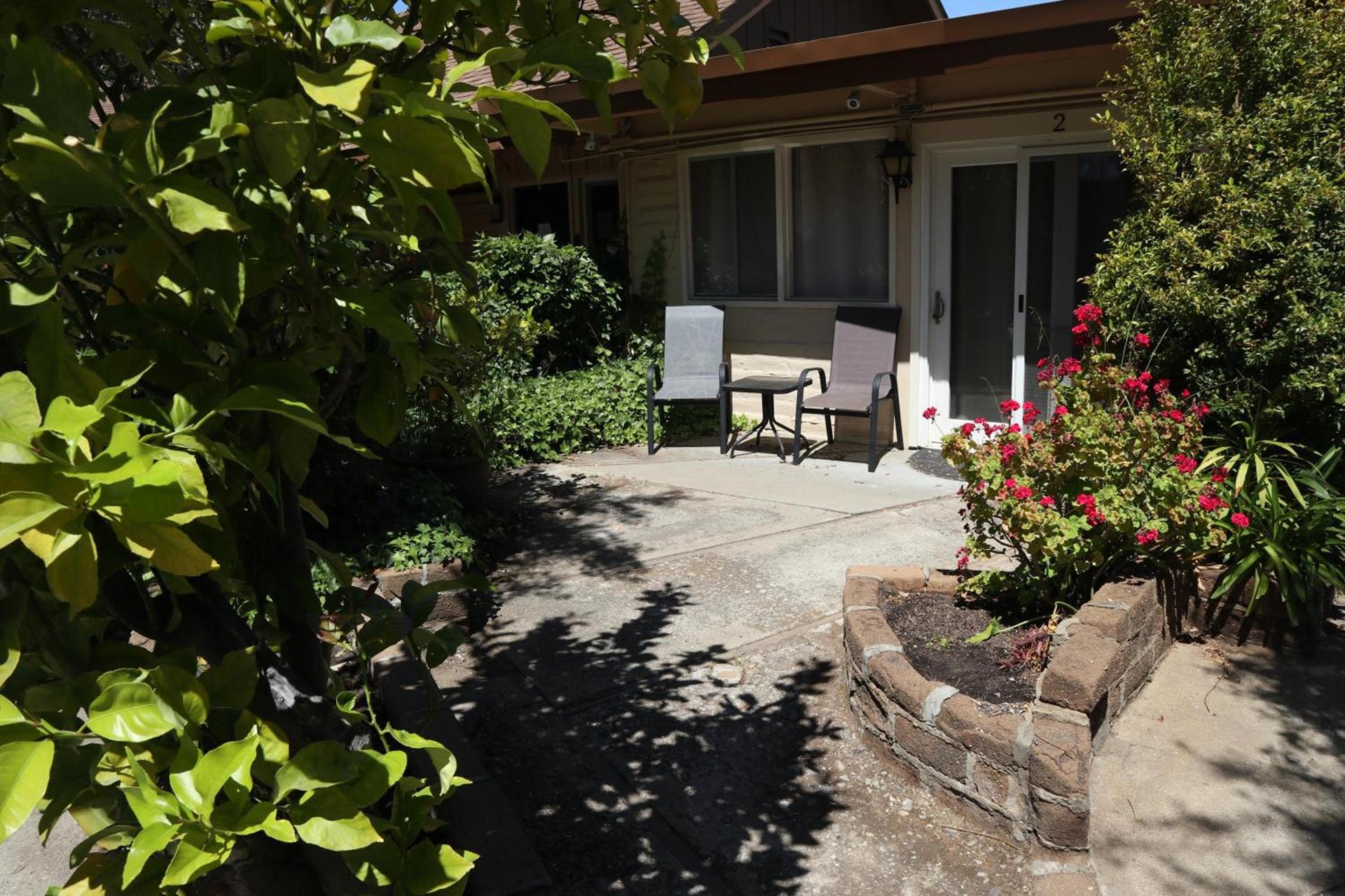Little European Lodge photo 5