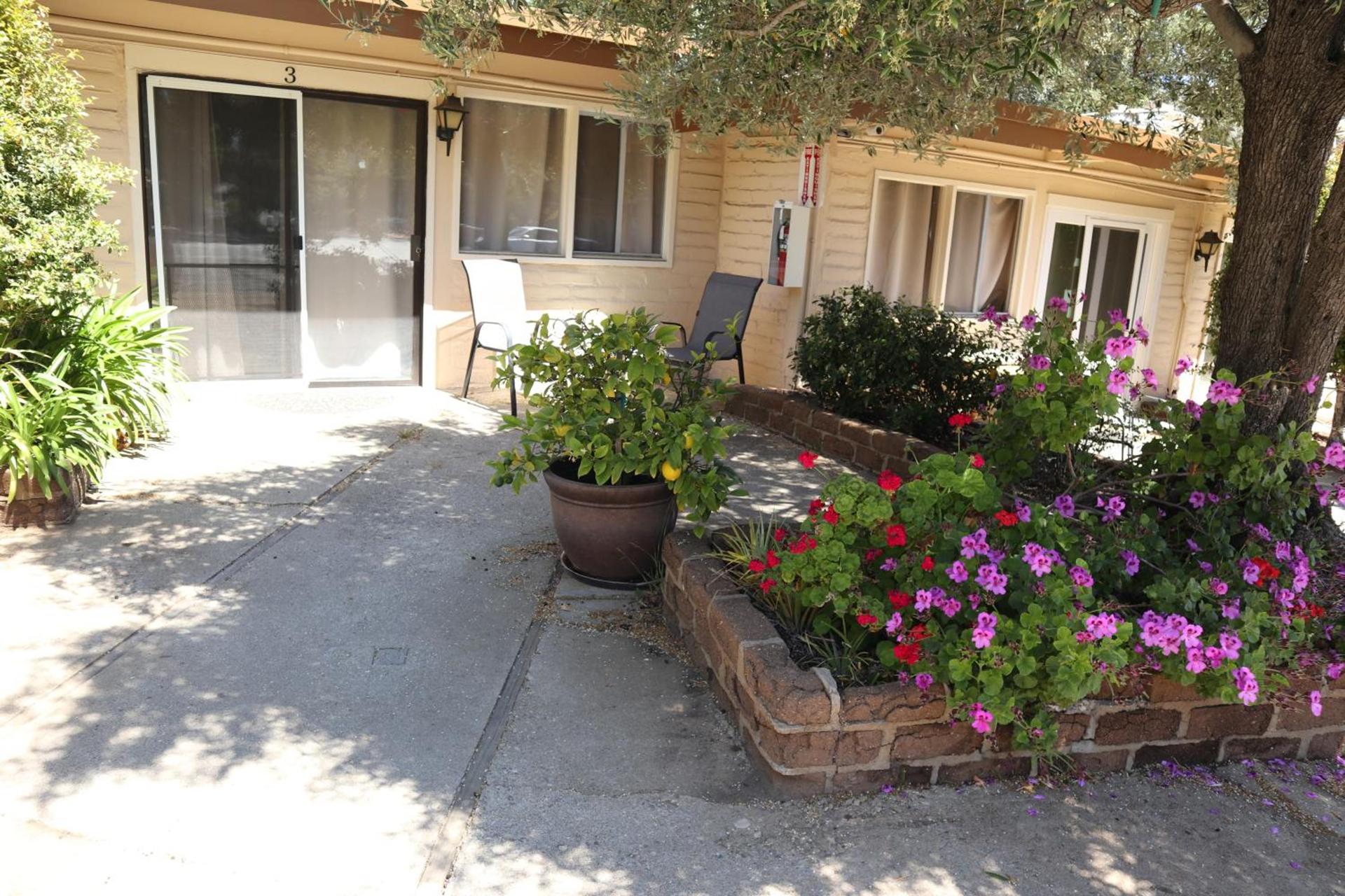 Little European Lodge photo 9