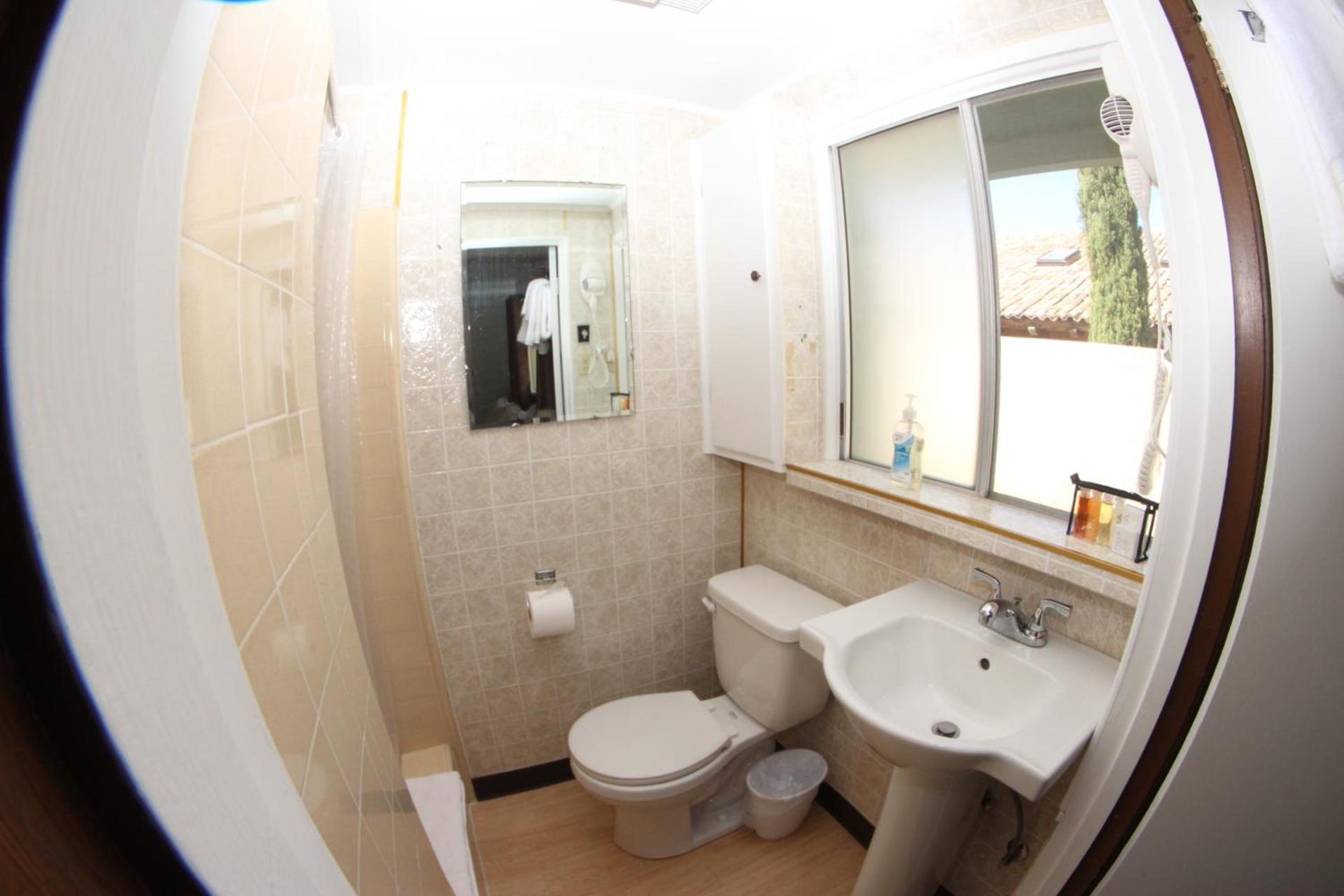 Little European Lodge photo 10
