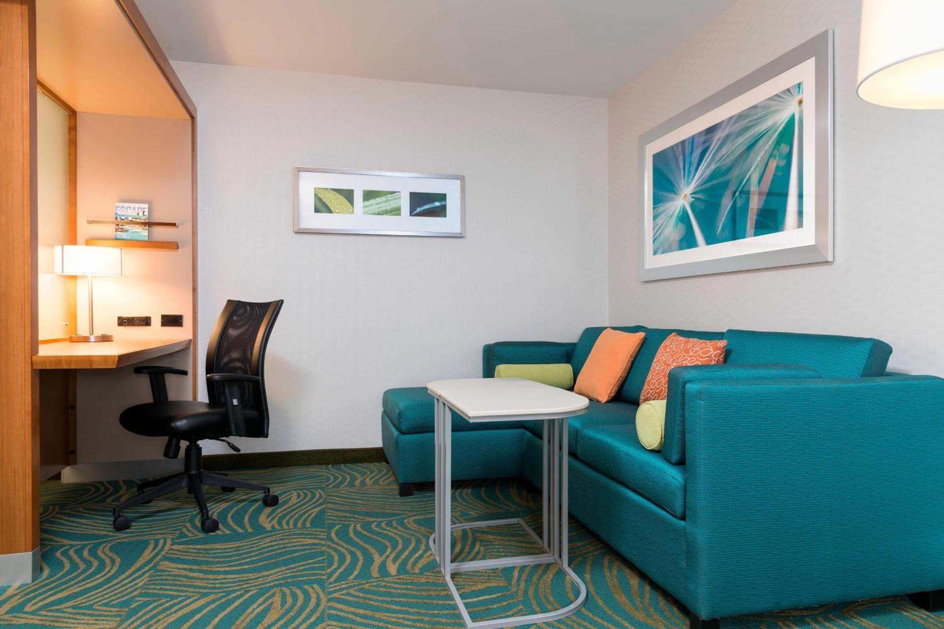 SpringHill Suites by Marriott Chicago Southeast/Munster, IN photo 5