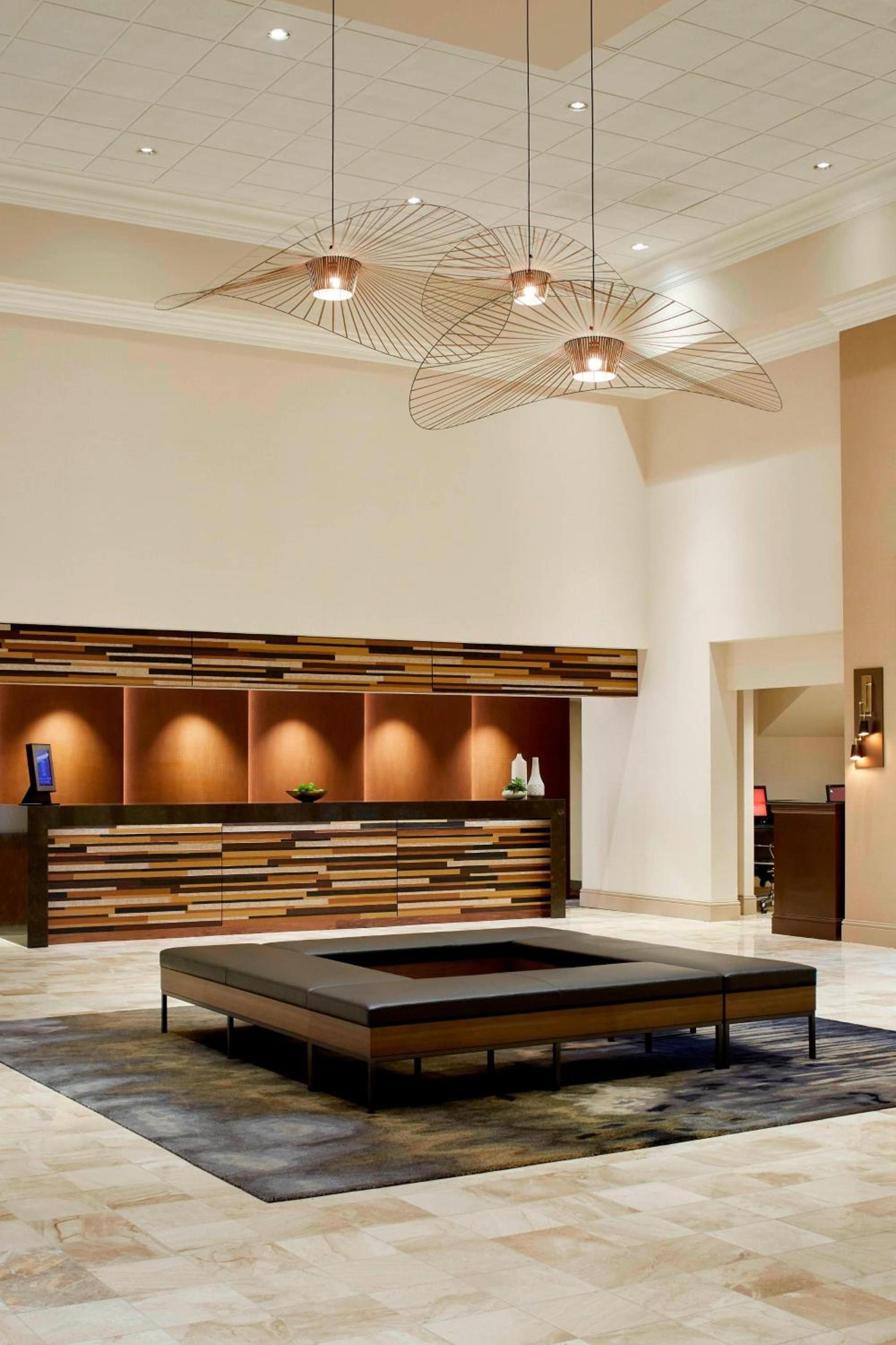 Marriott DFW Airport South photo 3