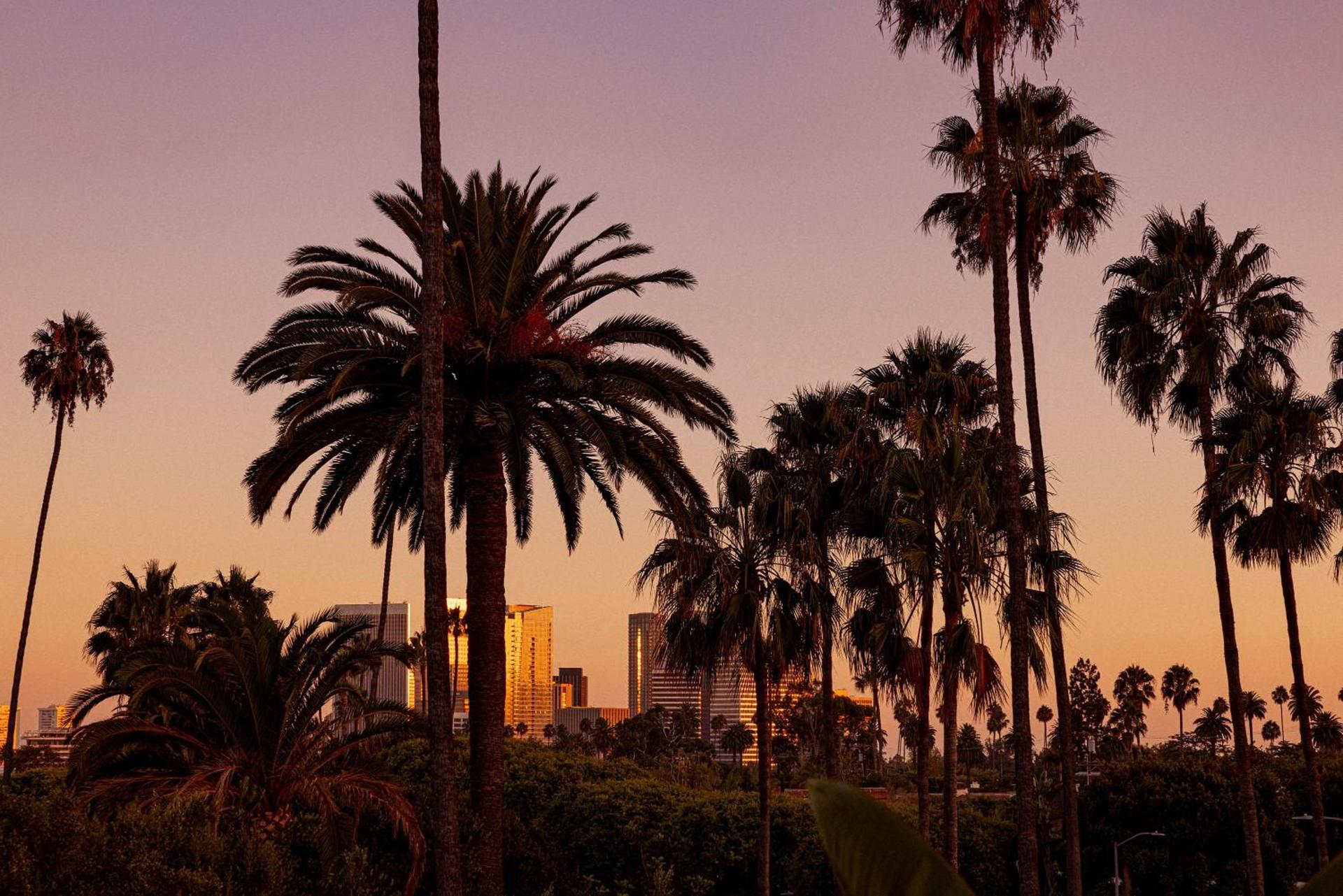 The Beverly Hills Hotel - Dorchester Collection photo 81