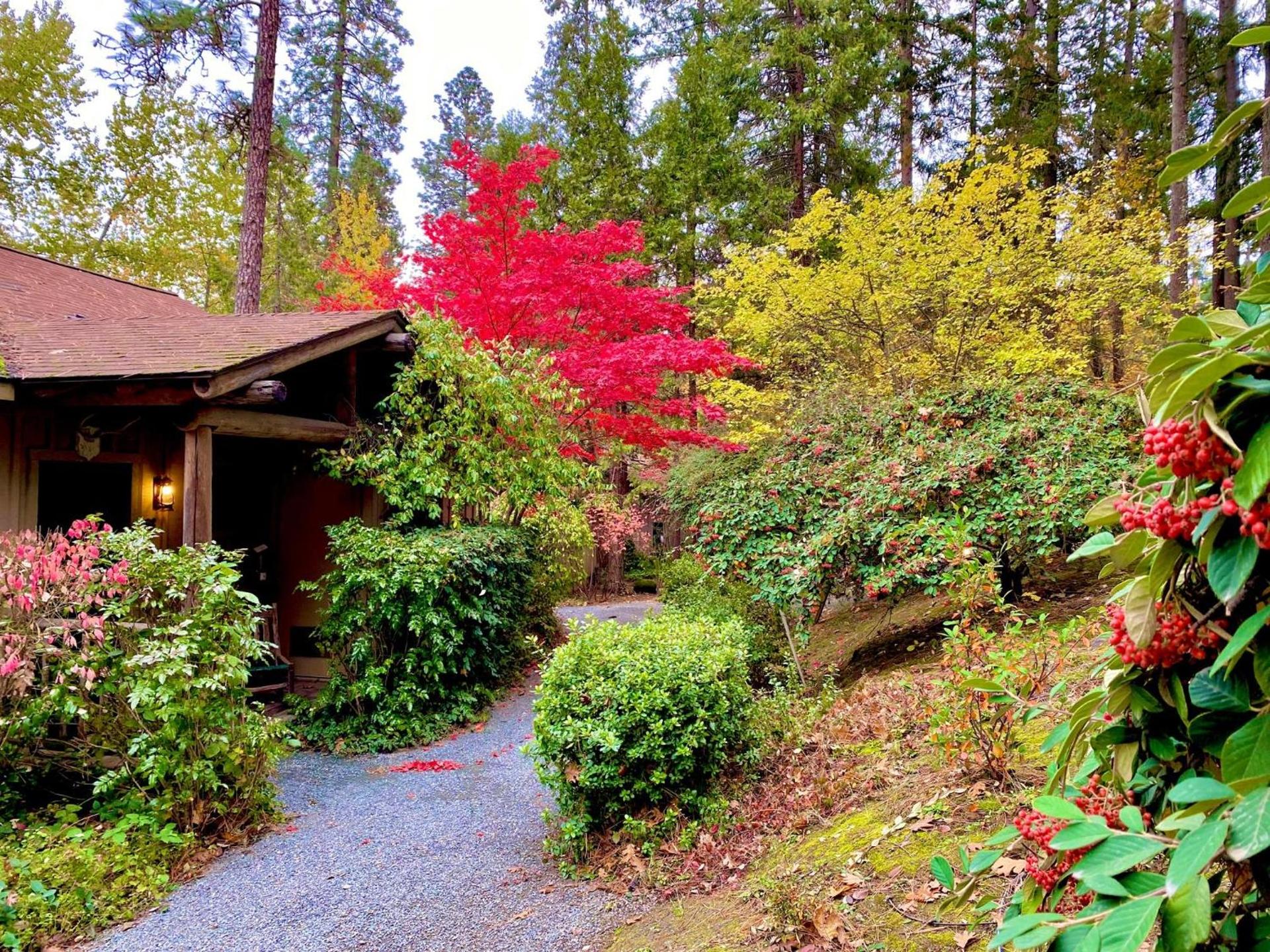 Weasku Inn photo 6