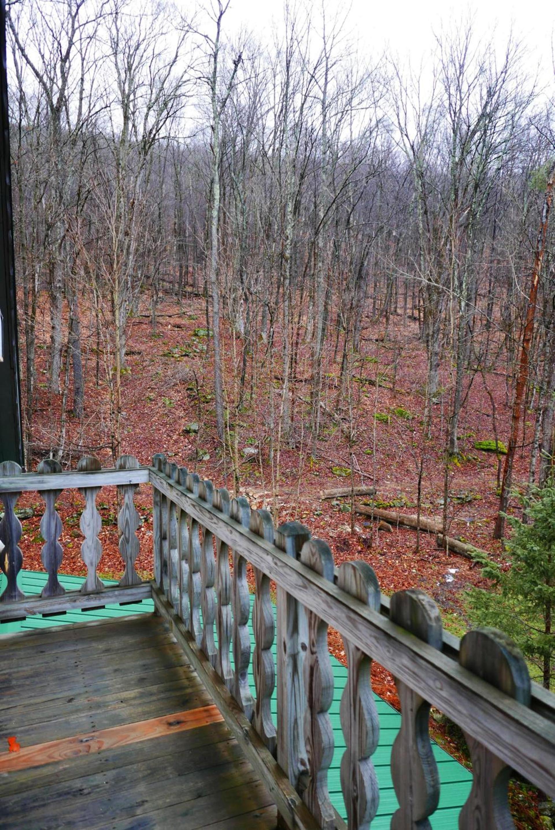 Slide Mountain Forest House photo 11