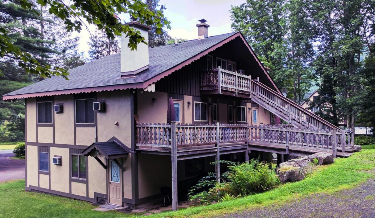 Slide Mountain Forest House photo 26