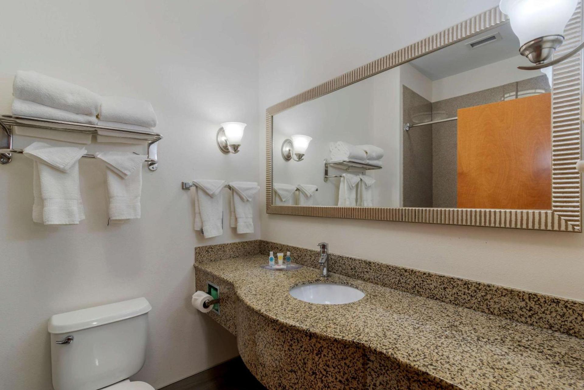 Comfort Suites Stockbridge Atlanta South photo 18