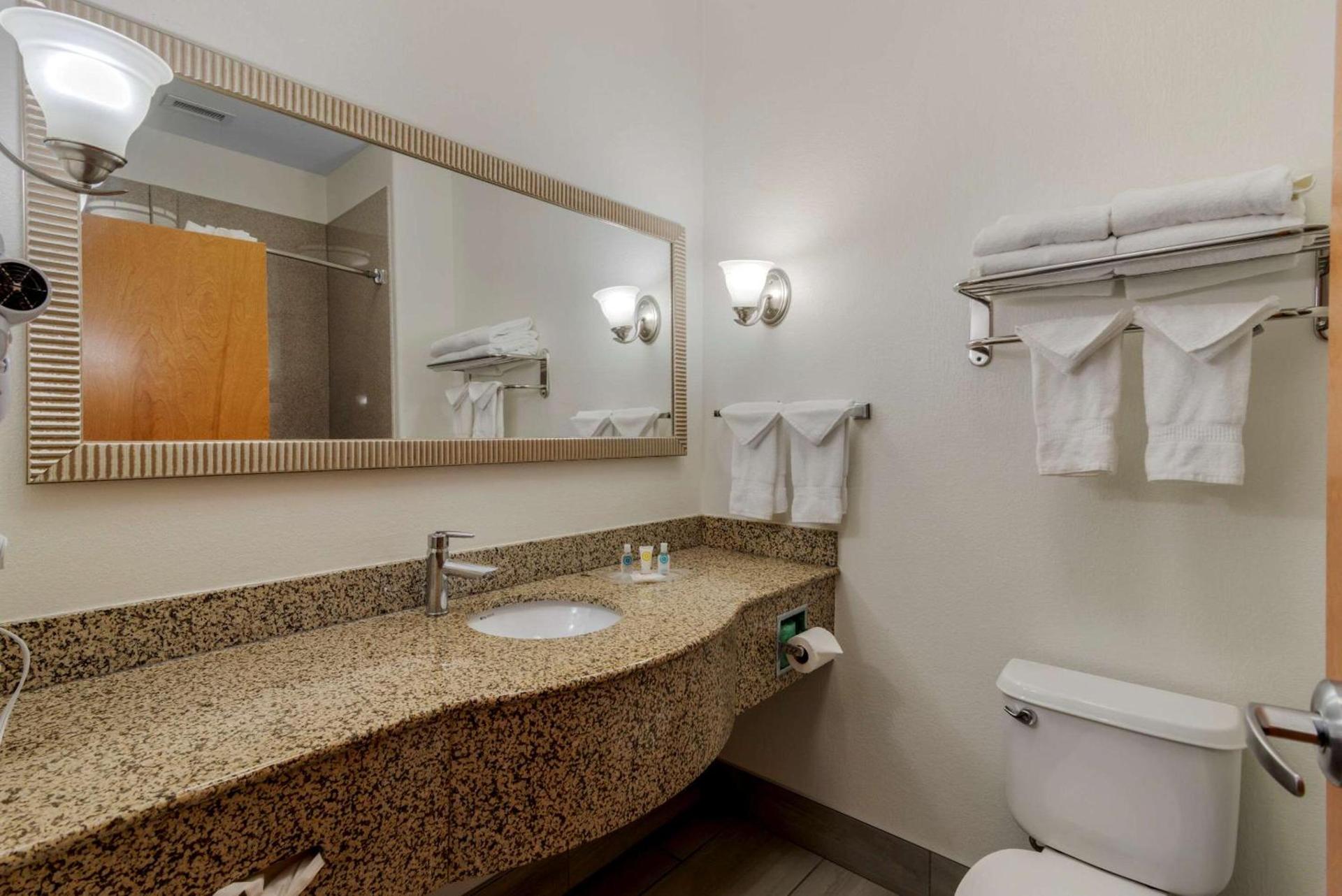 Comfort Suites Stockbridge Atlanta South photo 20