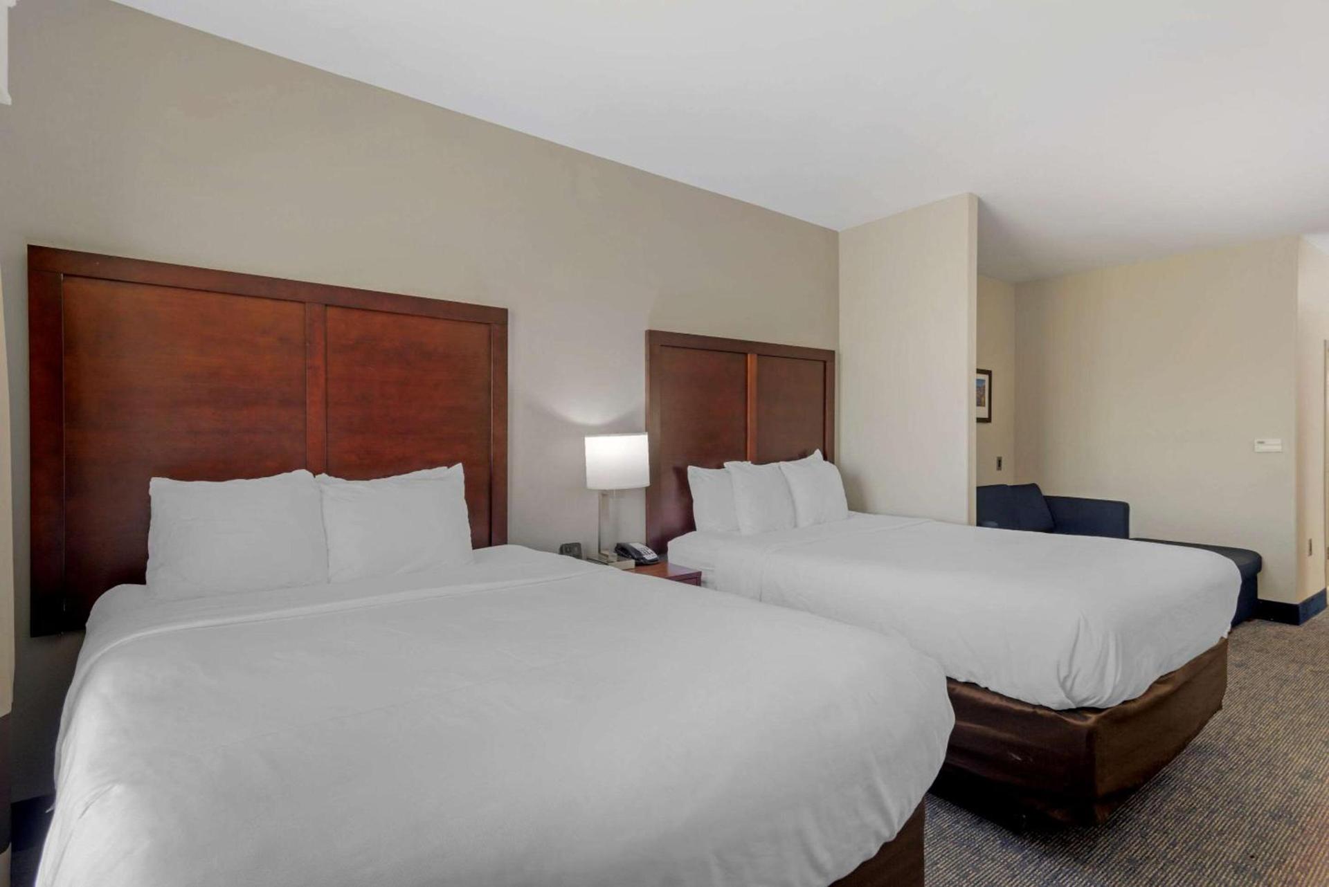 Comfort Suites Stockbridge Atlanta South photo 9