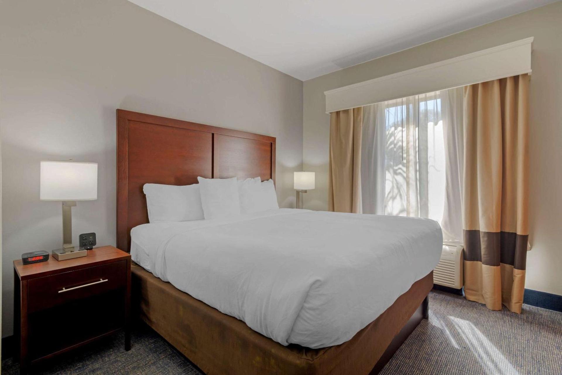 Comfort Suites Stockbridge Atlanta South photo 8