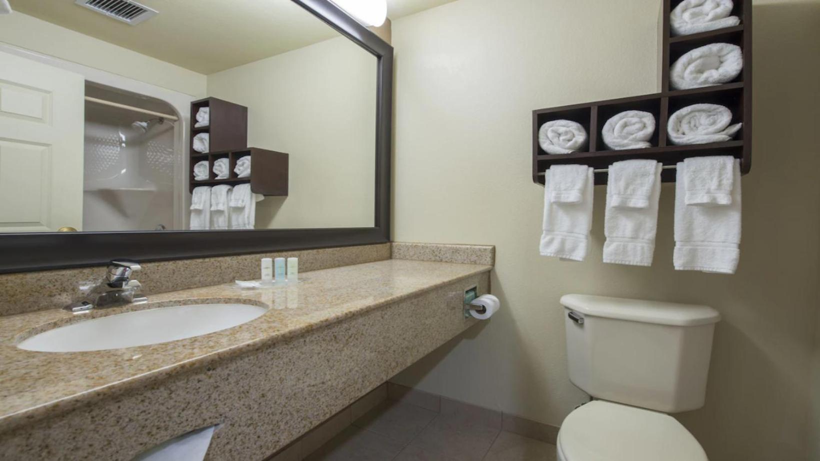 Comfort Suites Columbia at Harbison photo 36