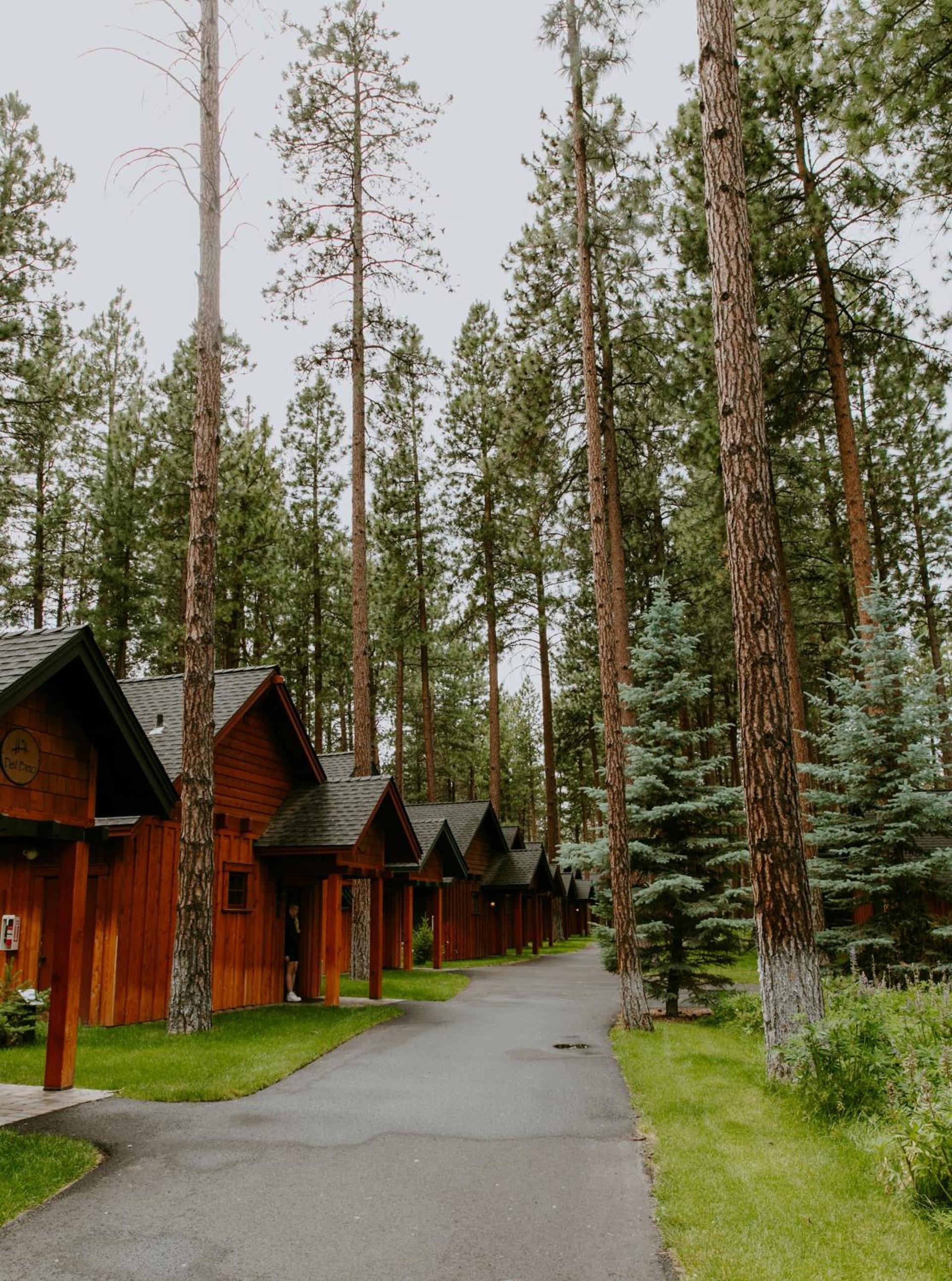 FivePine Lodge photo 34