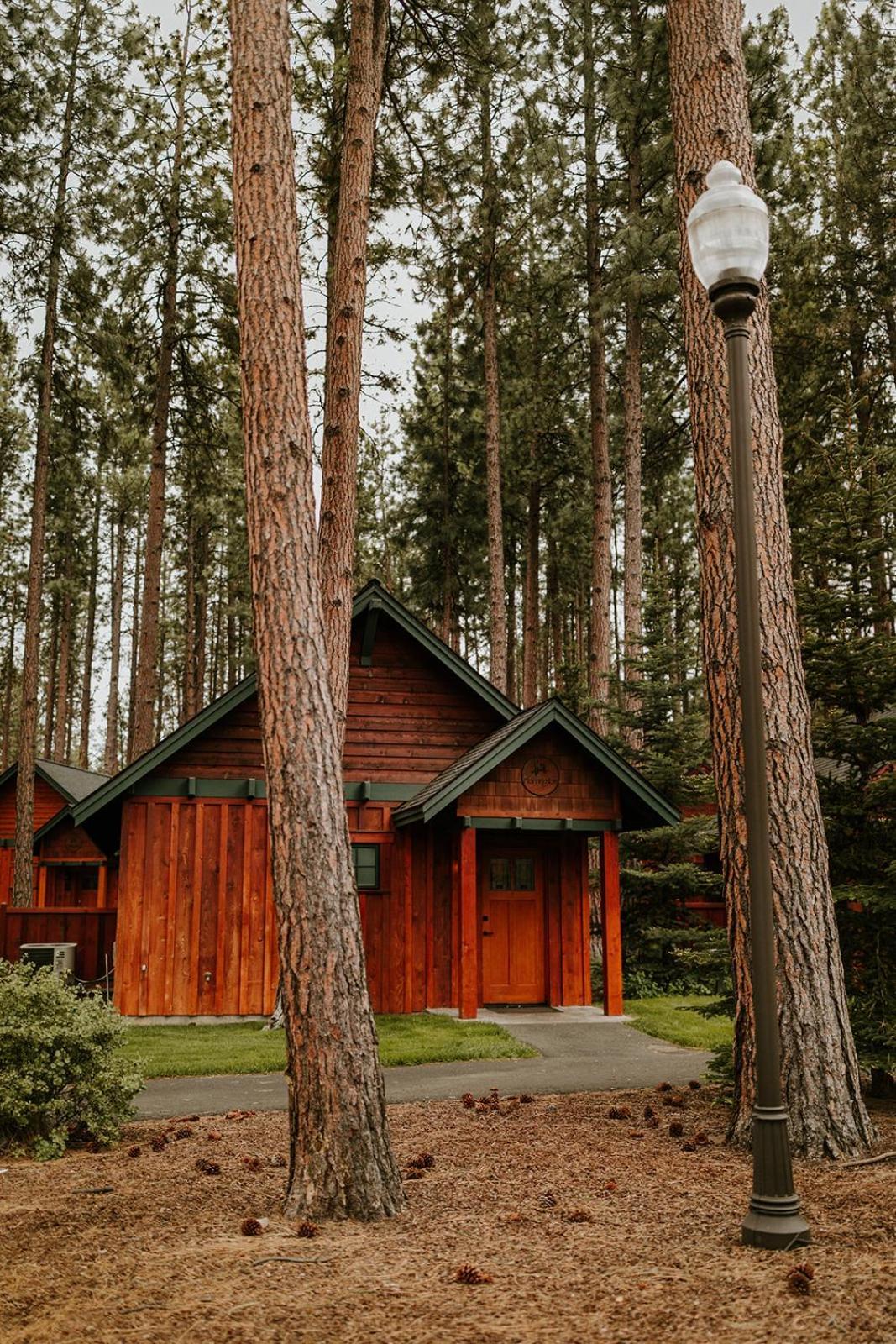 FivePine Lodge photo 38
