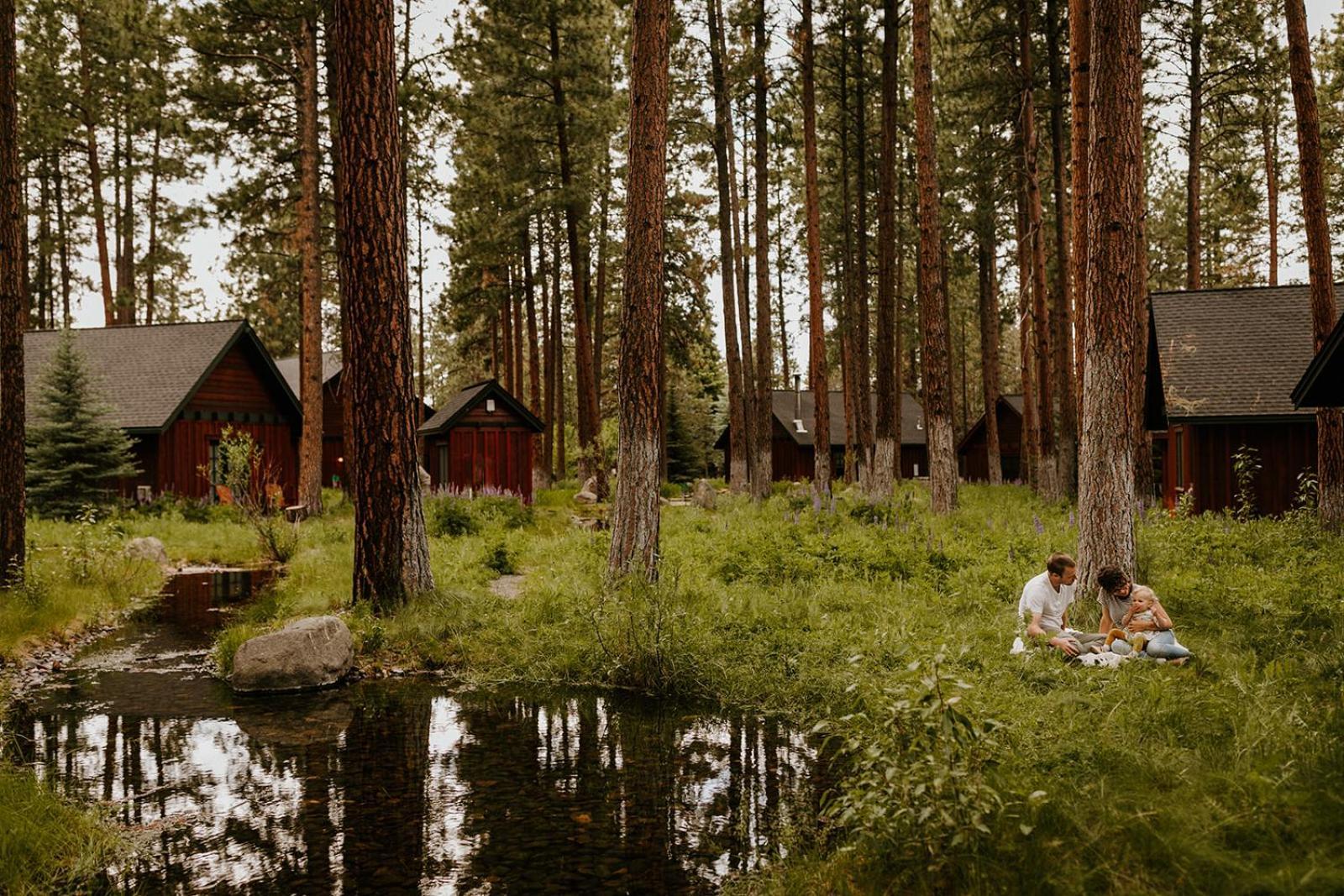 FivePine Lodge photo 90