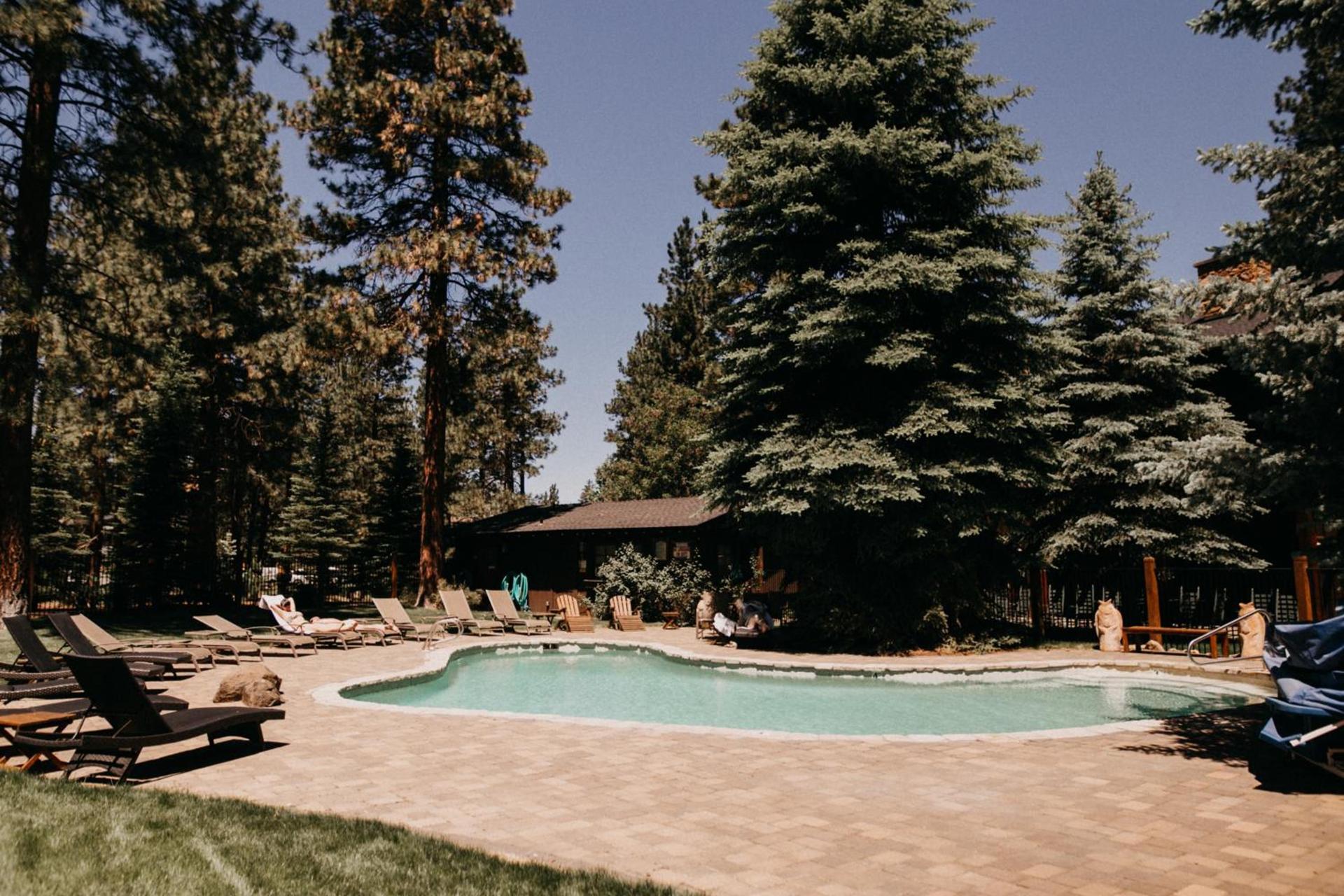 FivePine Lodge photo 4