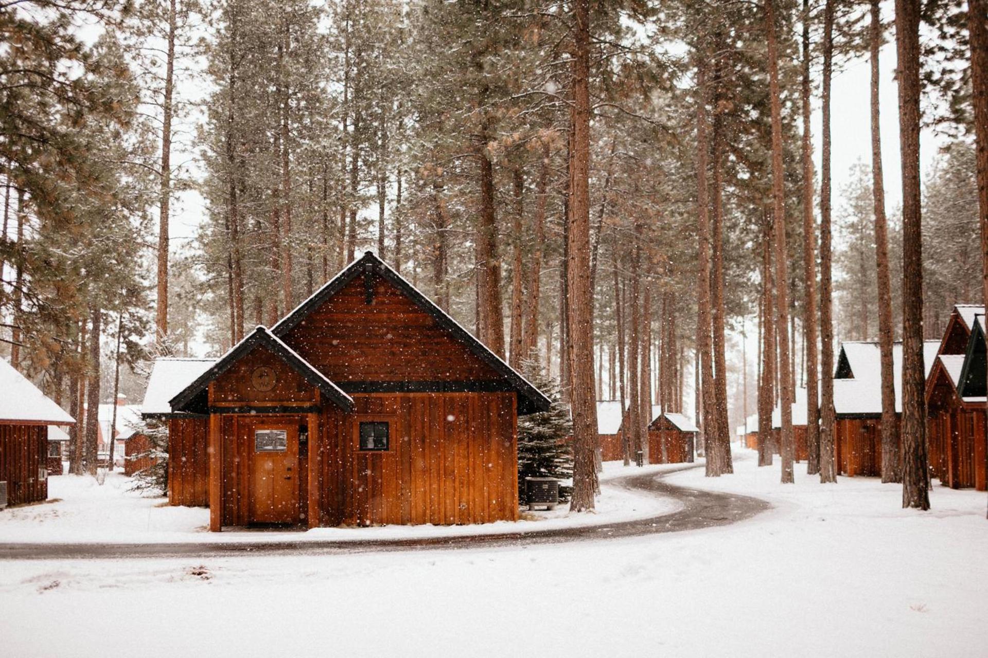 FivePine Lodge photo 52