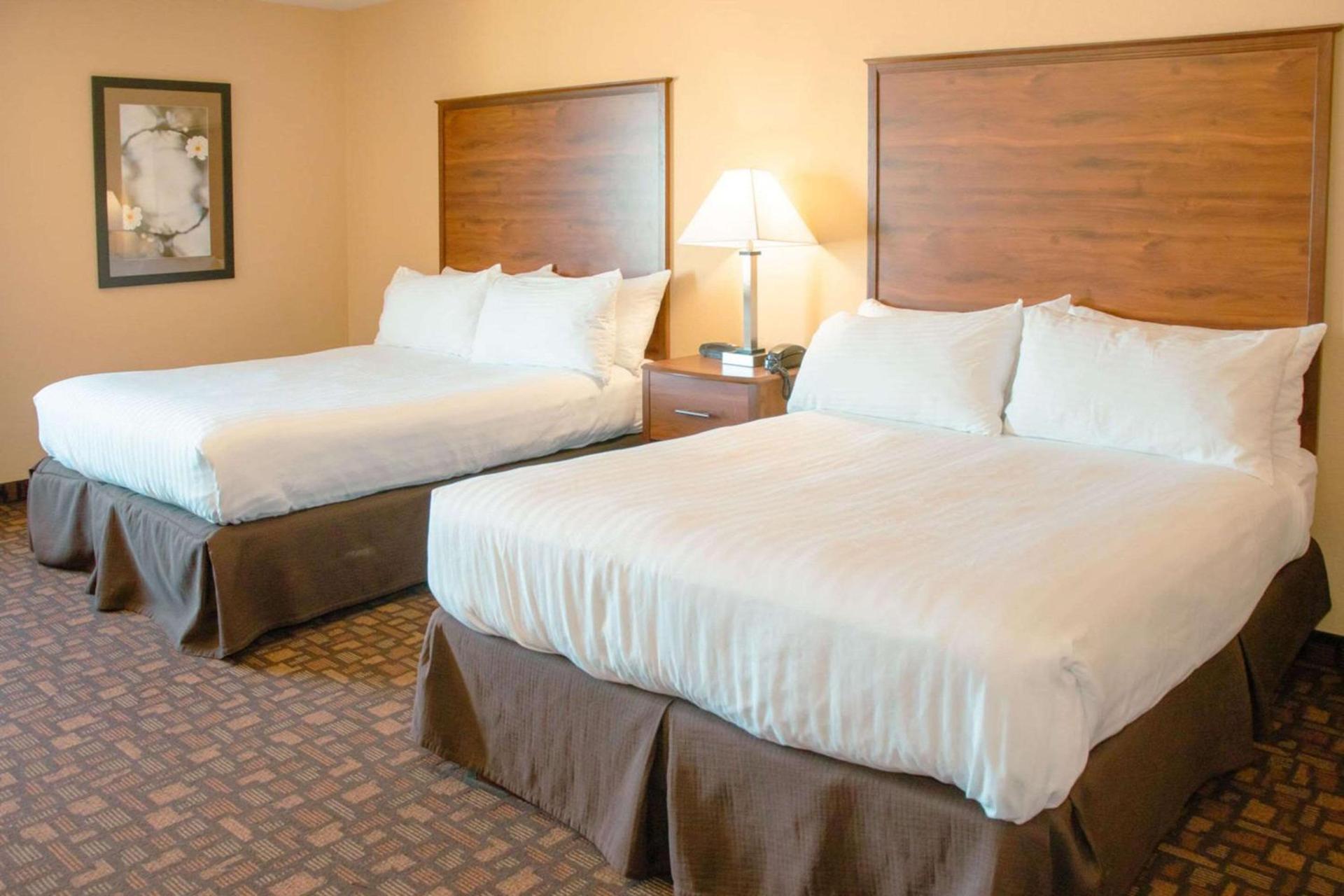 Comfort Inn & Suites Grand Forks near Alerus Center photo 63