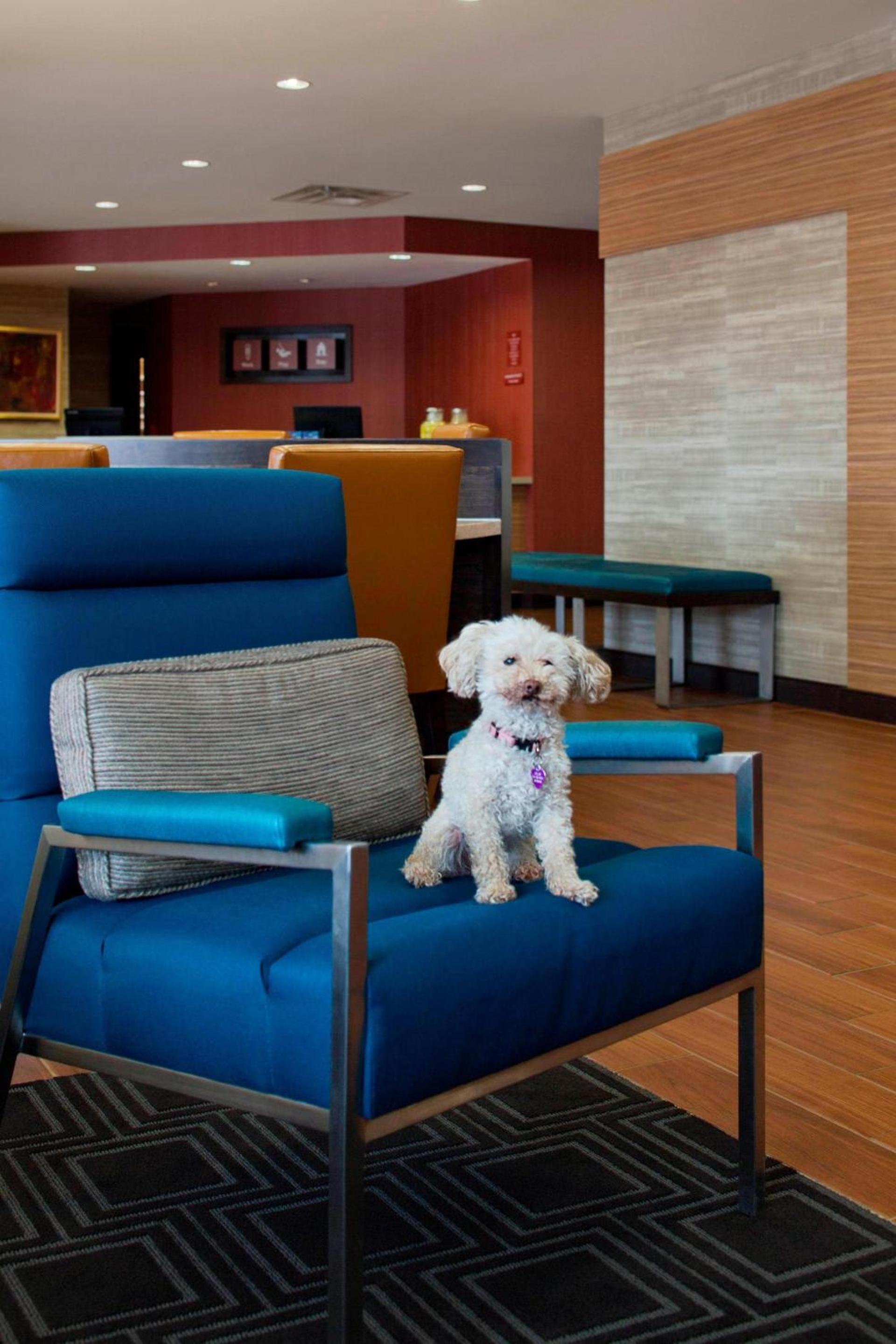 TownePlace Suites by Marriott Austin Round Rock photo 20
