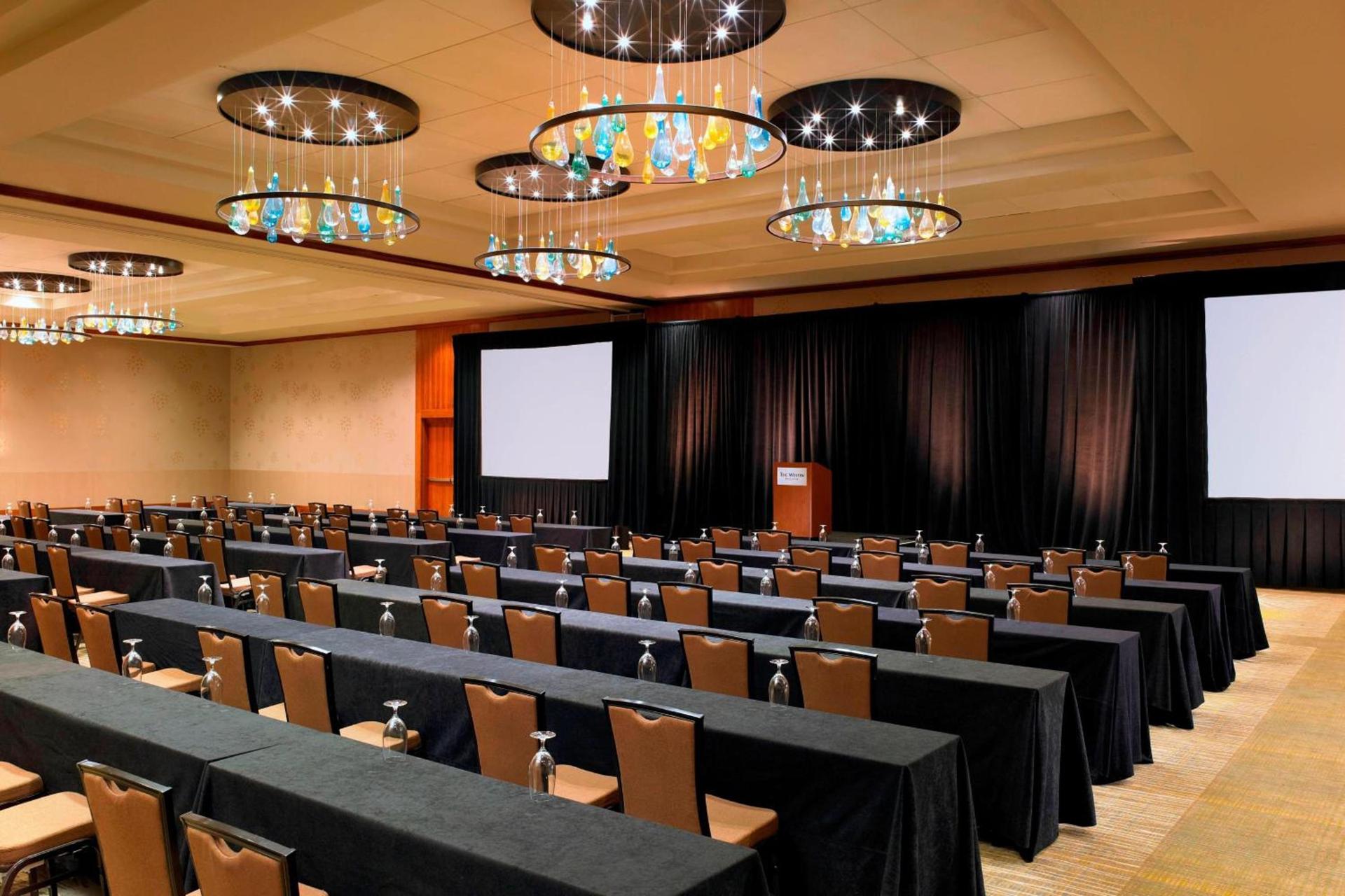 The Westin Bellevue photo 84