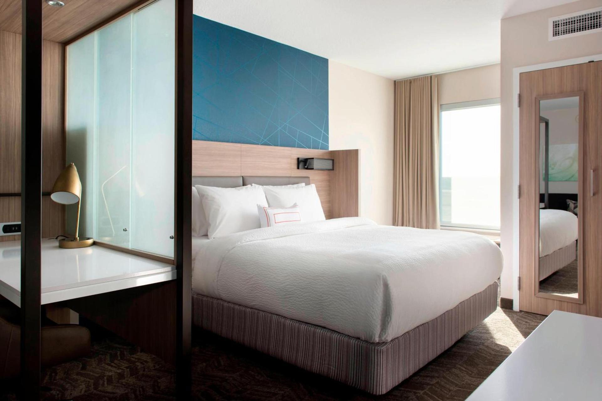 SpringHill Suites by Marriott Tampa Suncoast Parkway photo 5
