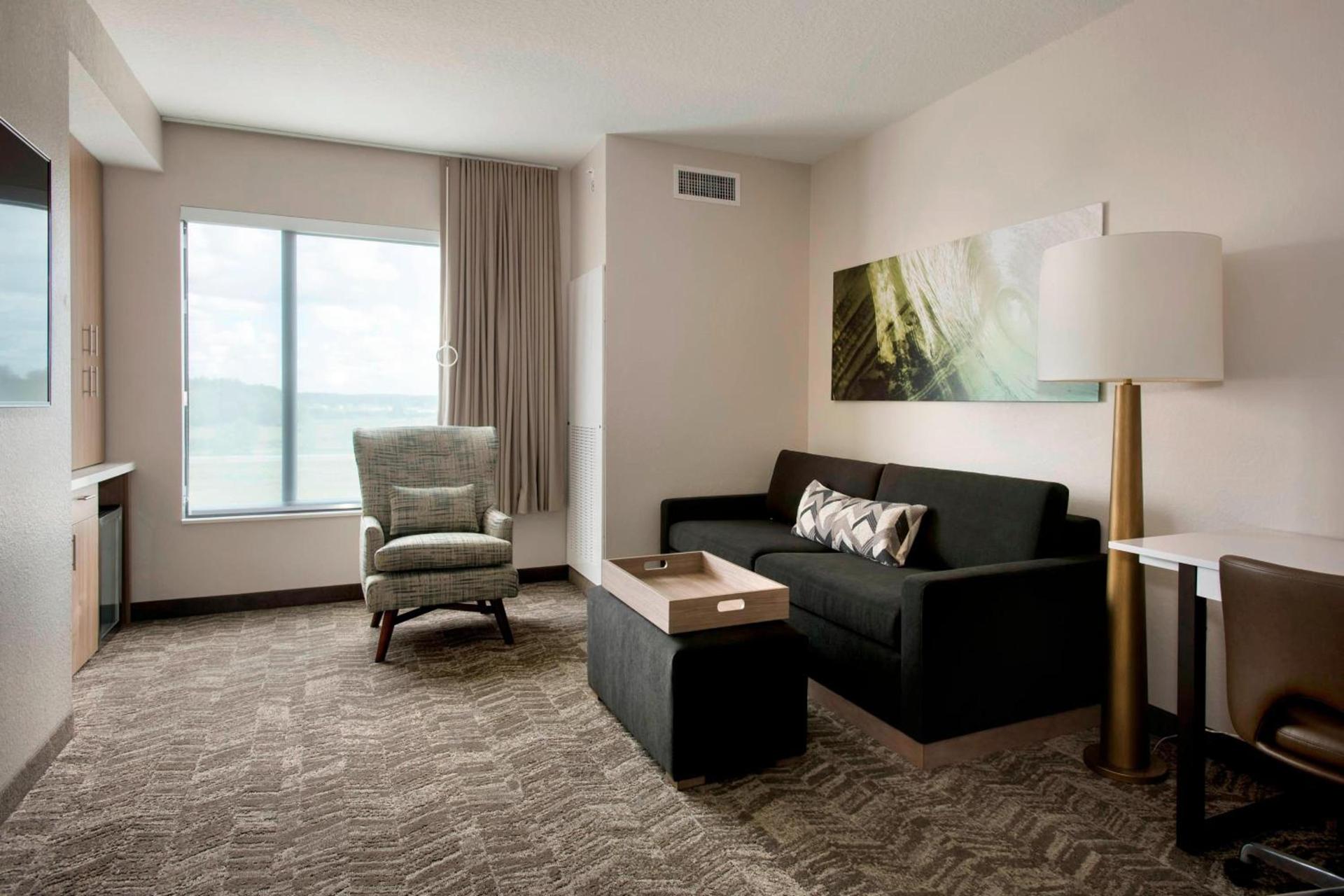 SpringHill Suites by Marriott Tampa Suncoast Parkway photo 8