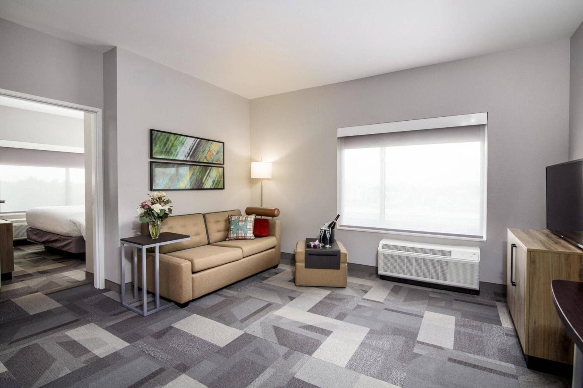 TownePlace Suites by Marriott Houston Hobby Airport photo 12