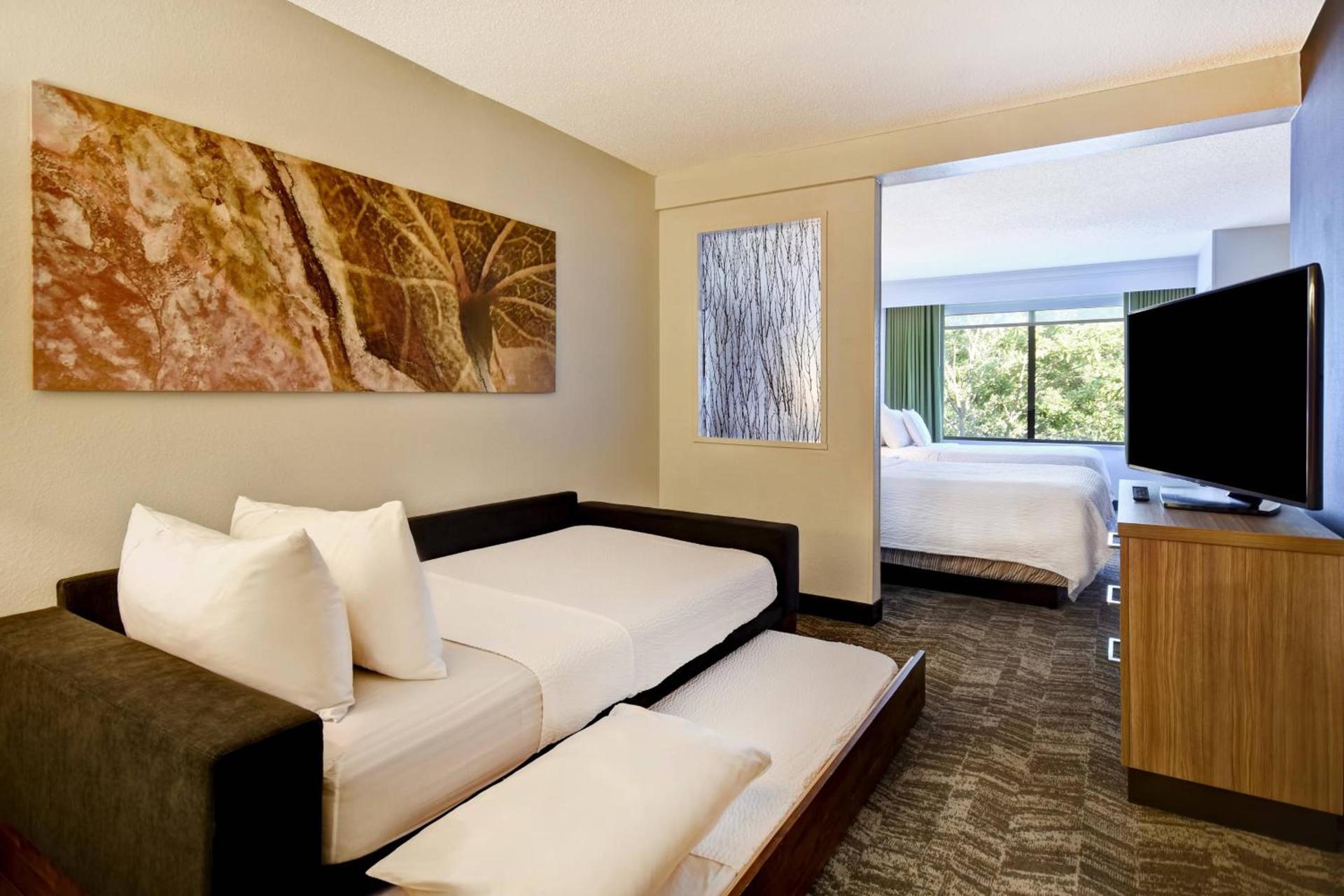 SpringHill Suites by Marriott Atlanta Kennesaw photo 8