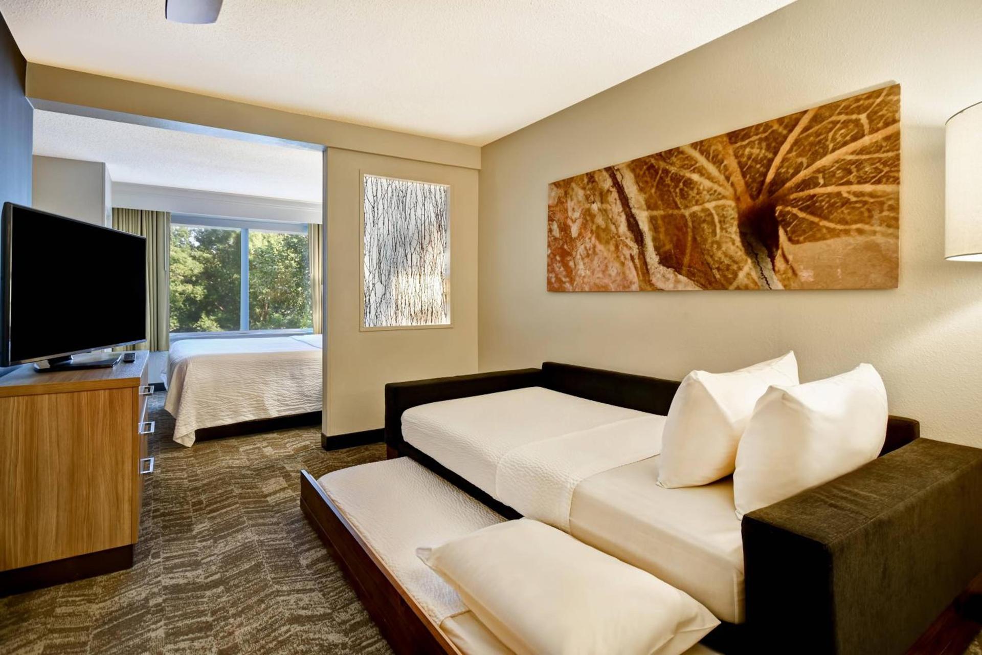 SpringHill Suites by Marriott Atlanta Kennesaw photo 12