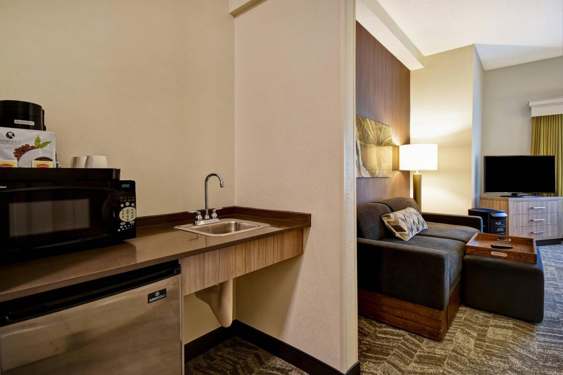 SpringHill Suites by Marriott Atlanta Kennesaw photo 20