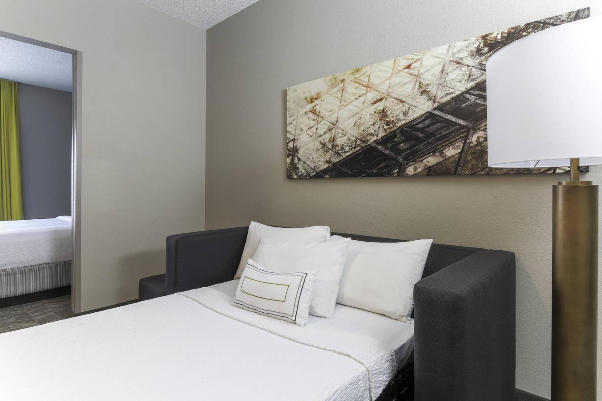 SpringHill Suites by Marriott Austin Parmer/Tech Ridge photo 11