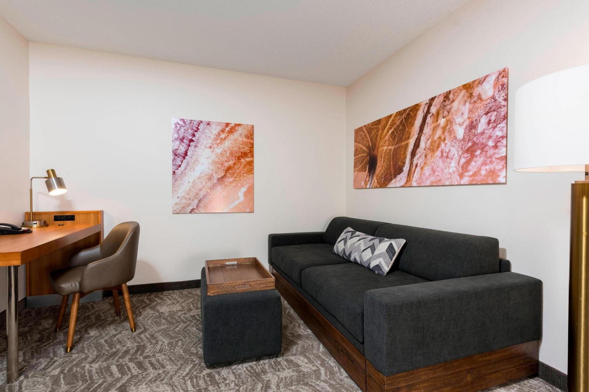 SpringHill Suites Grand Rapids North photo 12