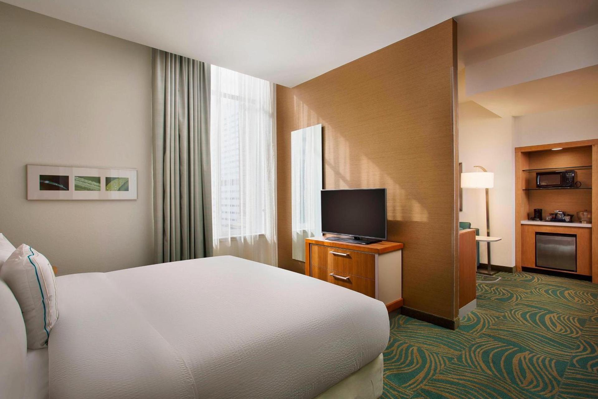 SpringHill Suites by Marriott Houston Downtown/Convention Center photo 6
