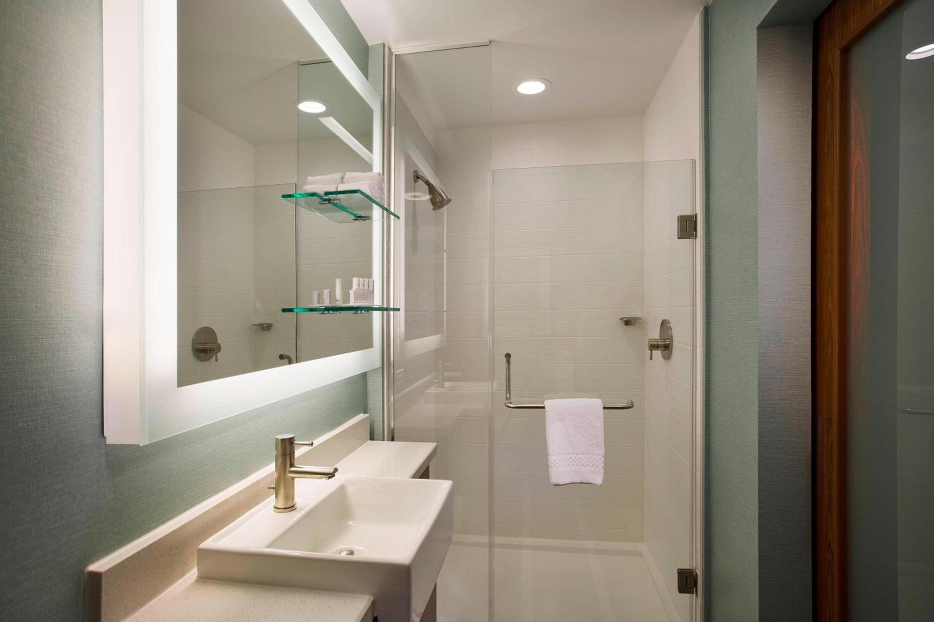 SpringHill Suites by Marriott Houston Downtown/Convention Center photo 13