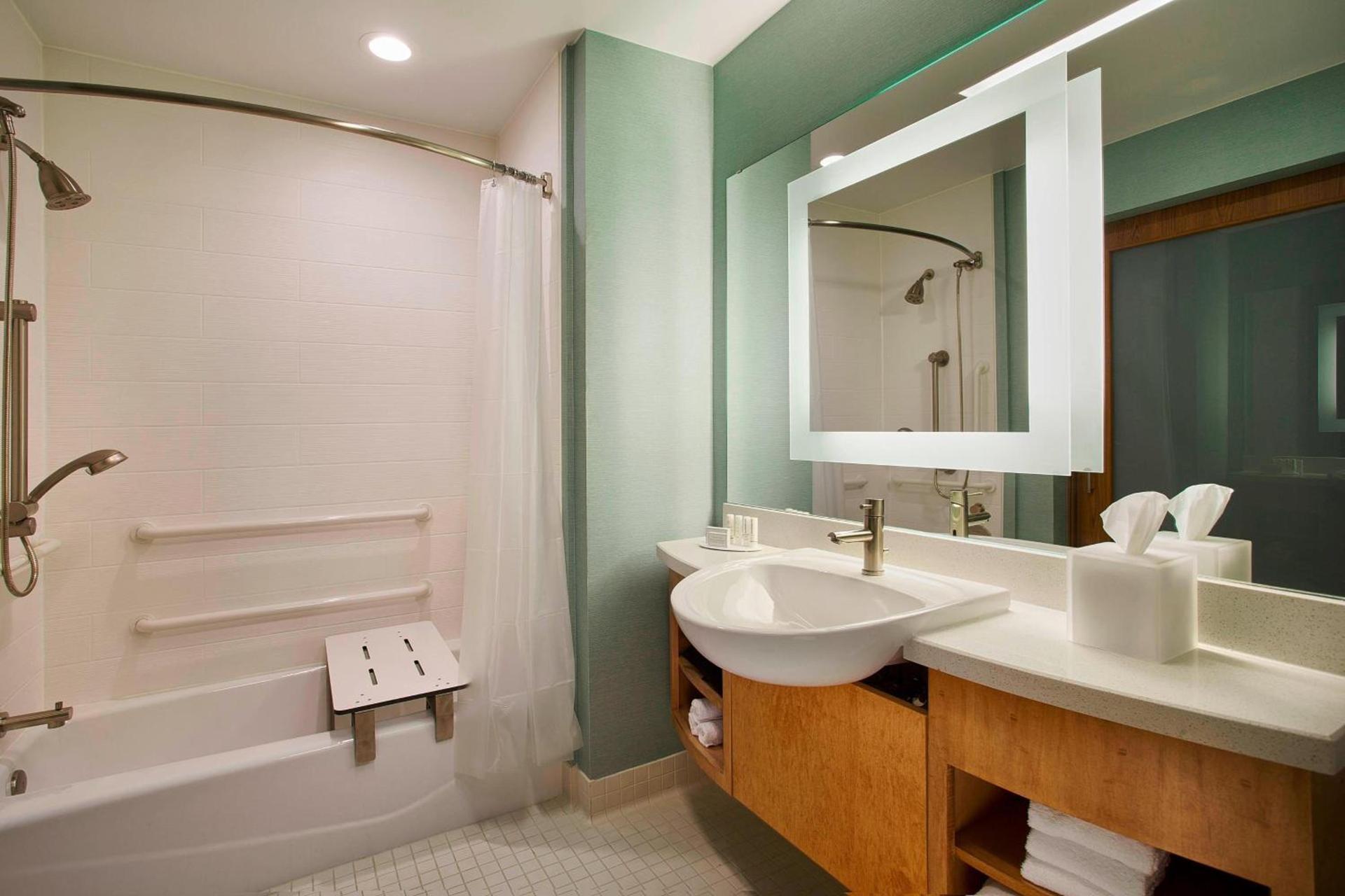 SpringHill Suites by Marriott Houston Downtown/Convention Center photo 14
