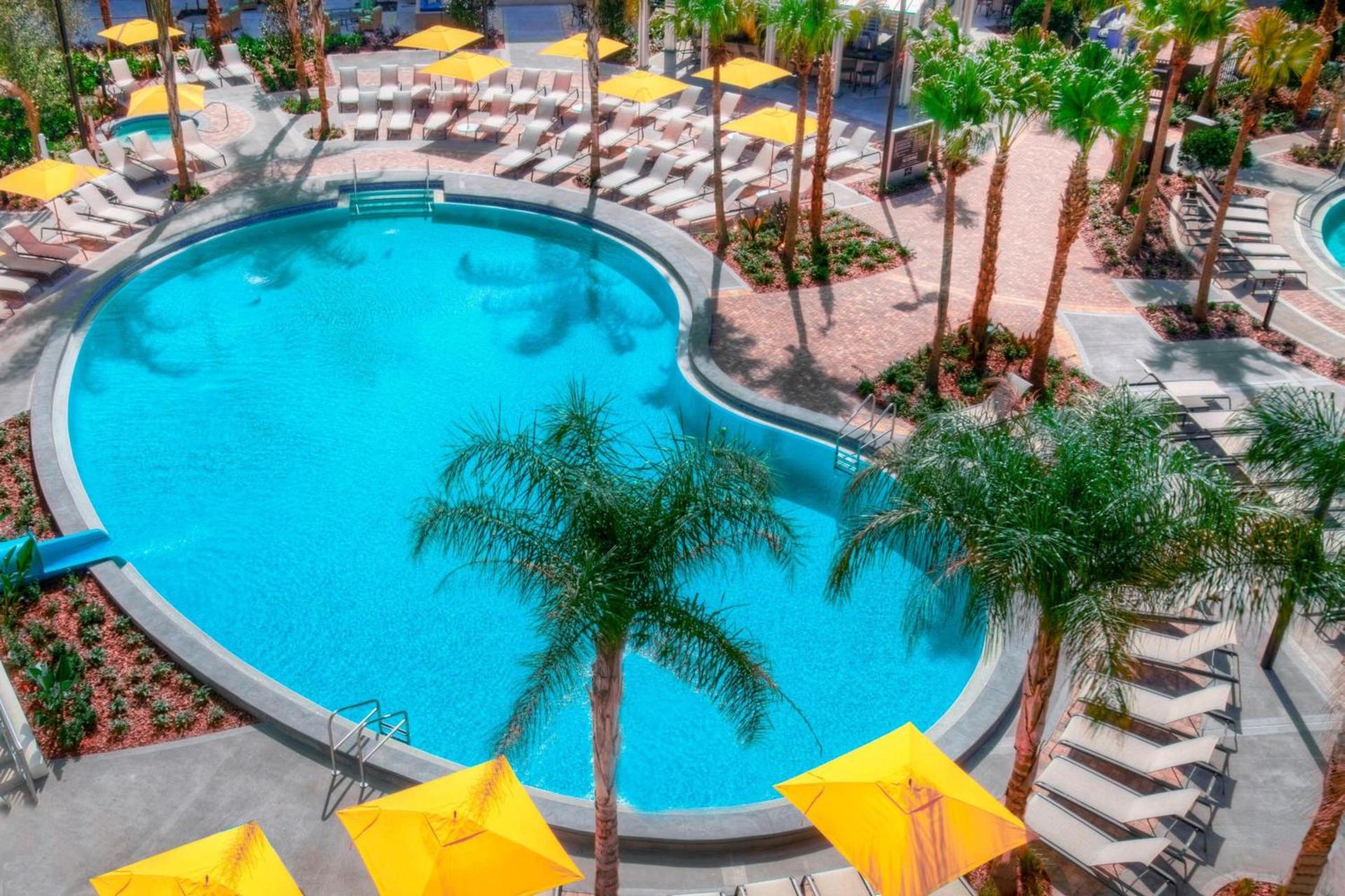 Sheraton Orlando Lake Buena Vista Resort - NEWLY RENOVATED! photo 12