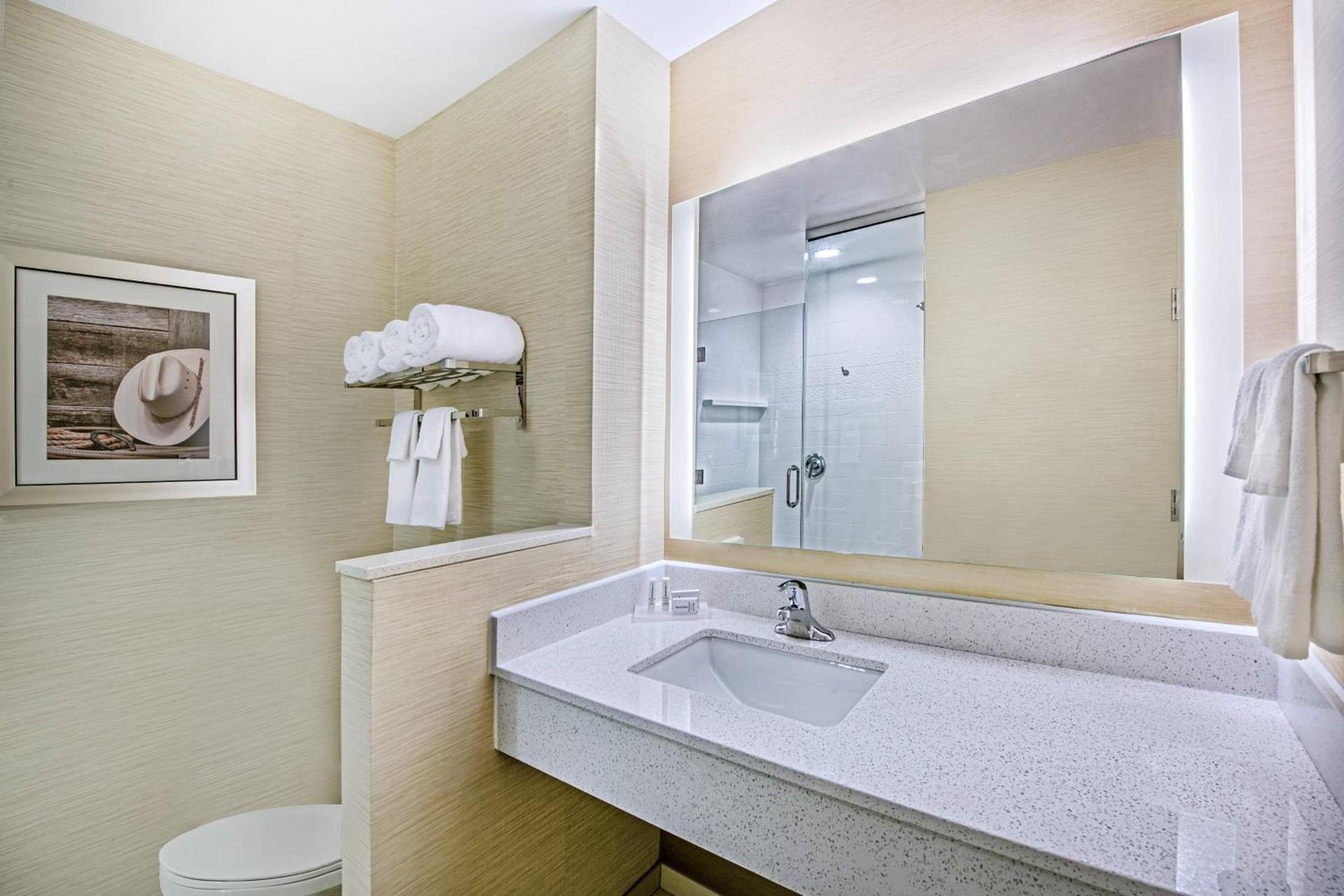 Fairfield Inn & Suites Van Canton Area photo 9