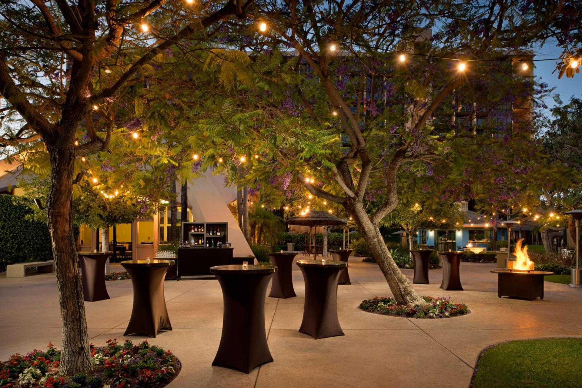 Sheraton Park Hotel at the Anaheim Resort photo 81