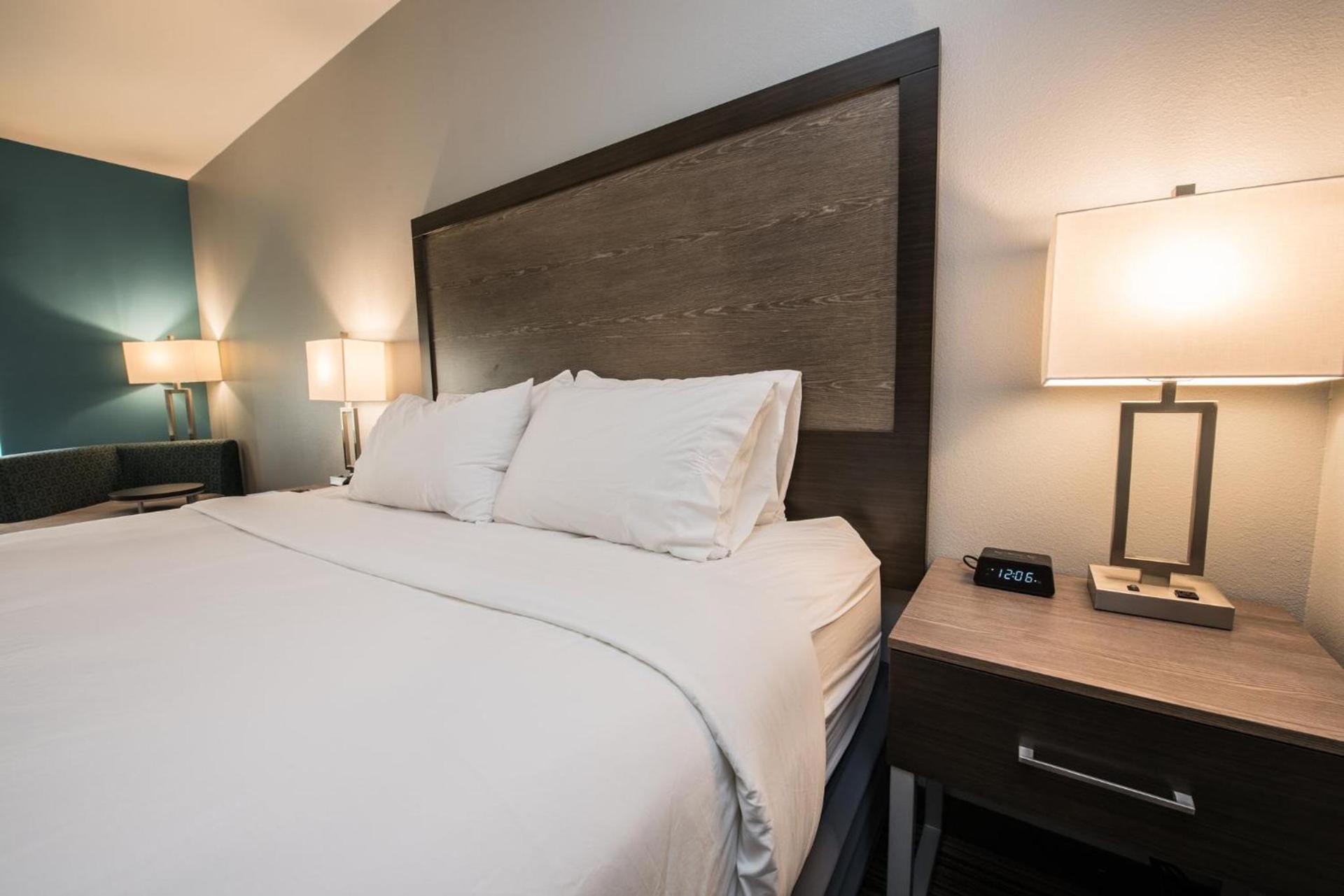 Holiday Inn Express & Suites Houston - Hobby Airport Area by IHG photo 37