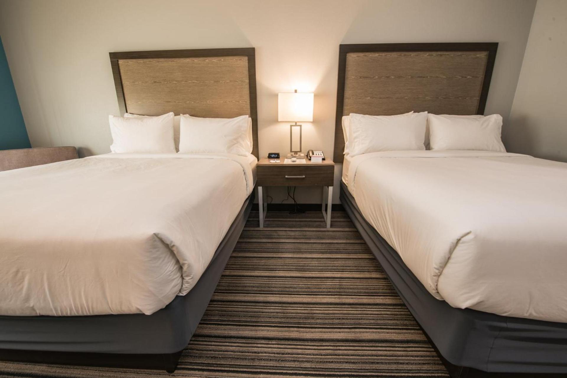 Holiday Inn Express & Suites Houston - Hobby Airport Area by IHG photo 82