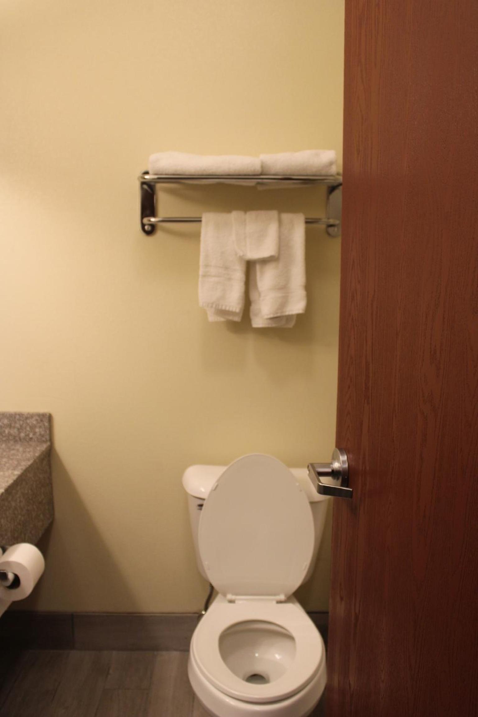 Quality Suites photo 40