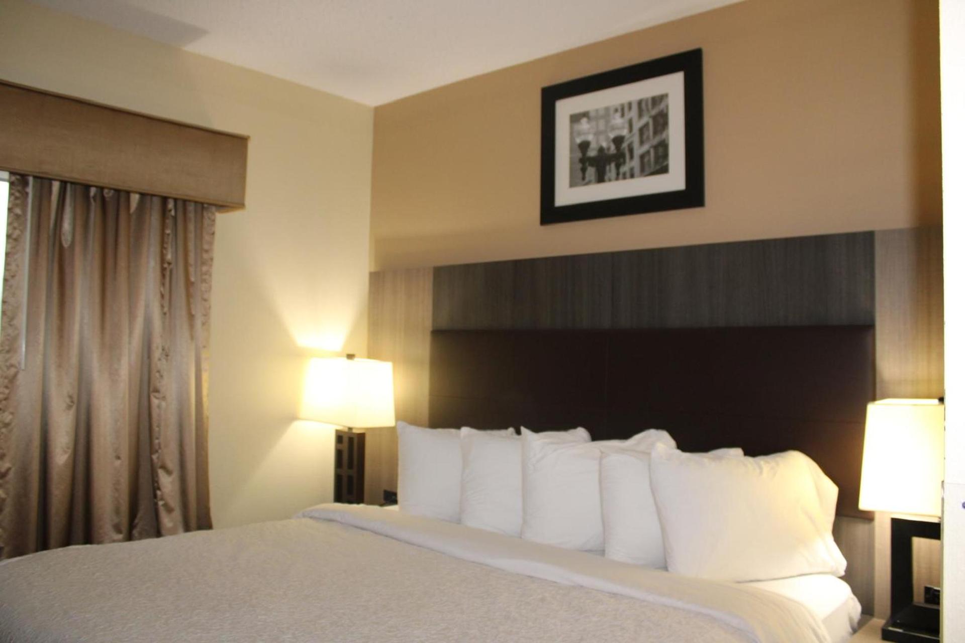 Quality Suites photo 49