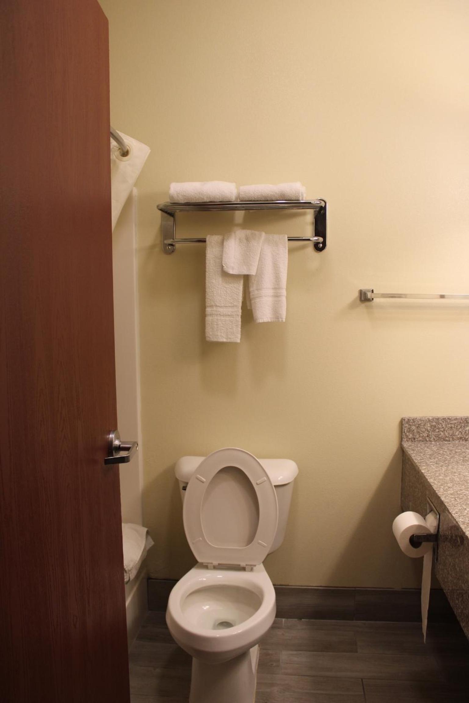 Quality Suites photo 41