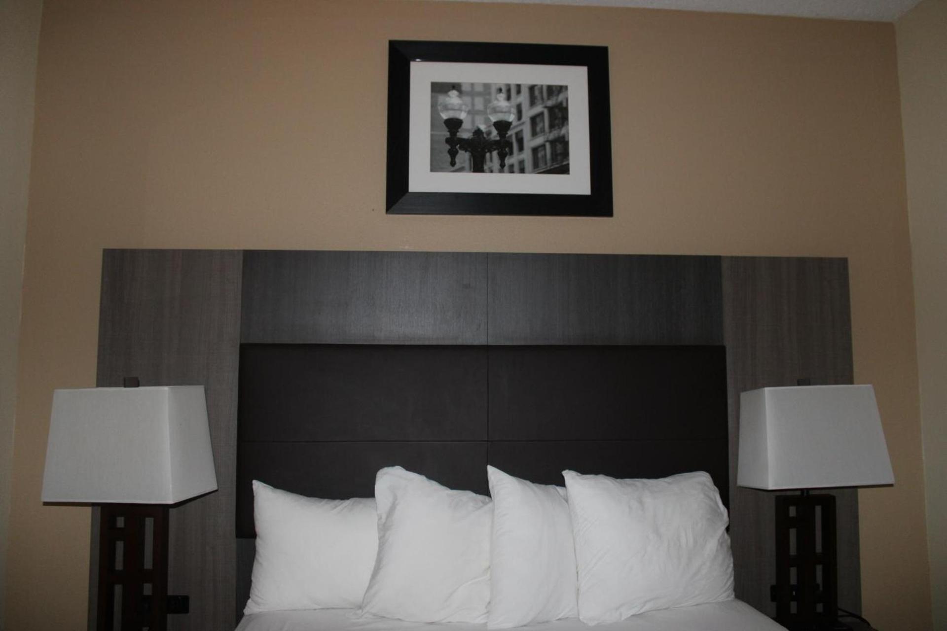 Quality Suites photo 42