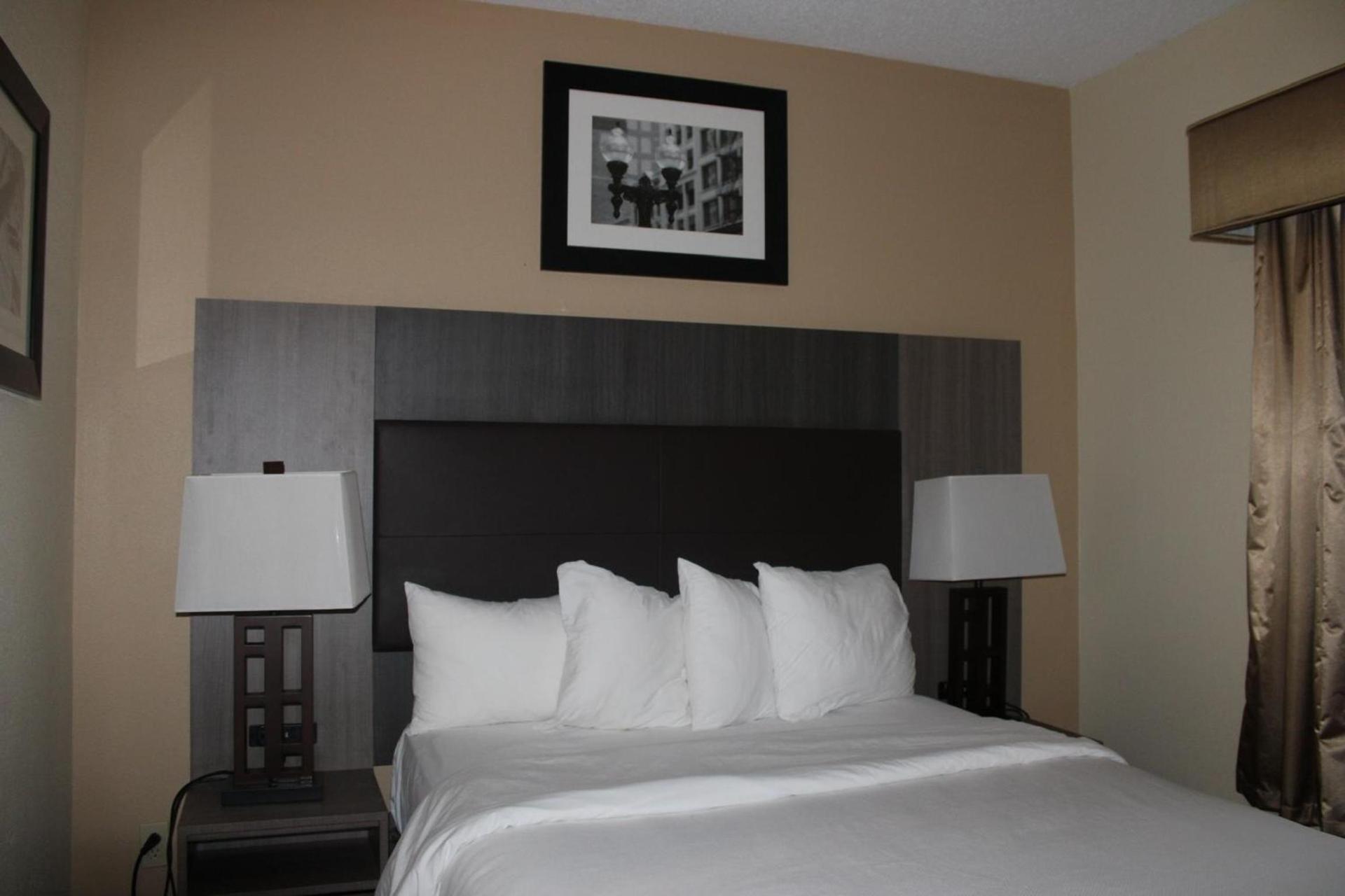 Quality Suites photo 43